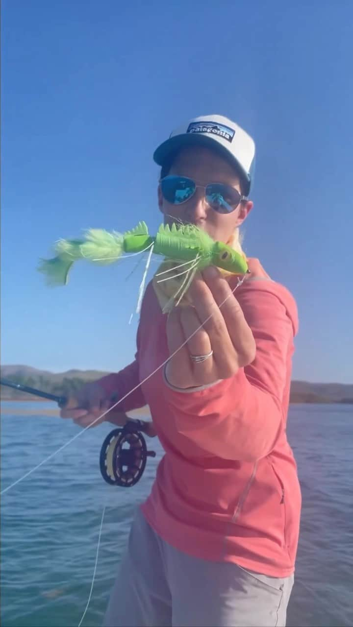 Costa Sunglassesのインスタグラム：「Creativity behind the vice is often rewarded.  @katka_svagrova and @tothegills reaping the rewards of a reptilian presentation.  #SeeWhatsOutThere #Iguana #TarponFlies #SaltwaterFlyFishing」