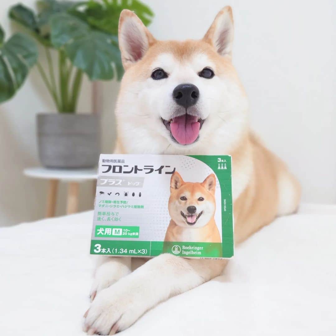 ちゃみのインスタグラム
