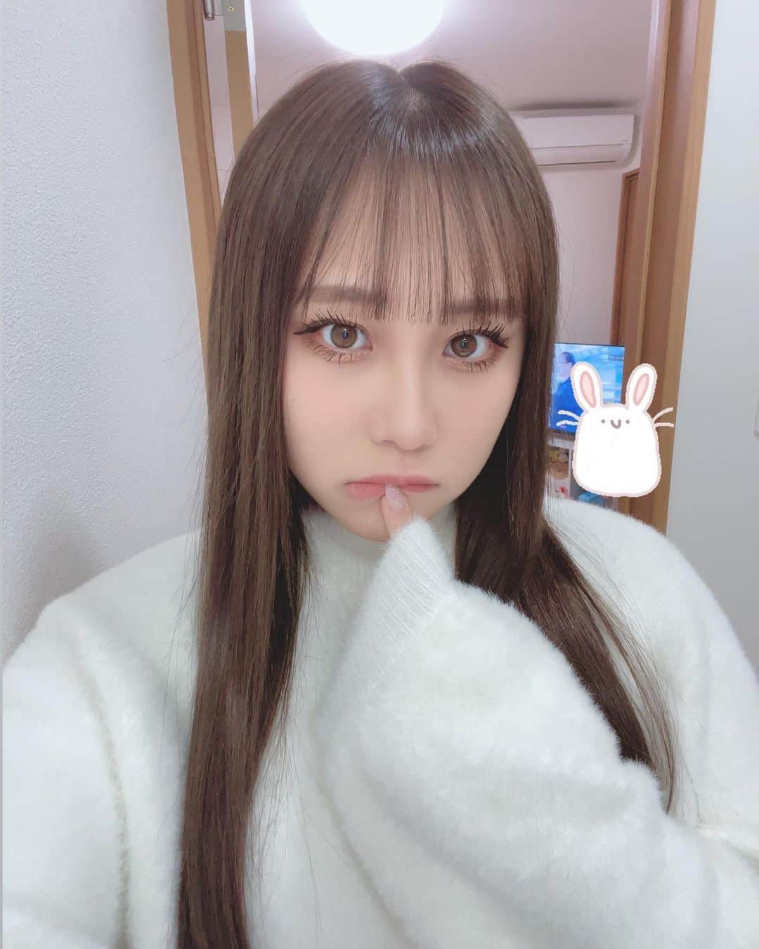 みぃらぁんのインスタグラム：「しろのもふもふにっとかわええだろ」