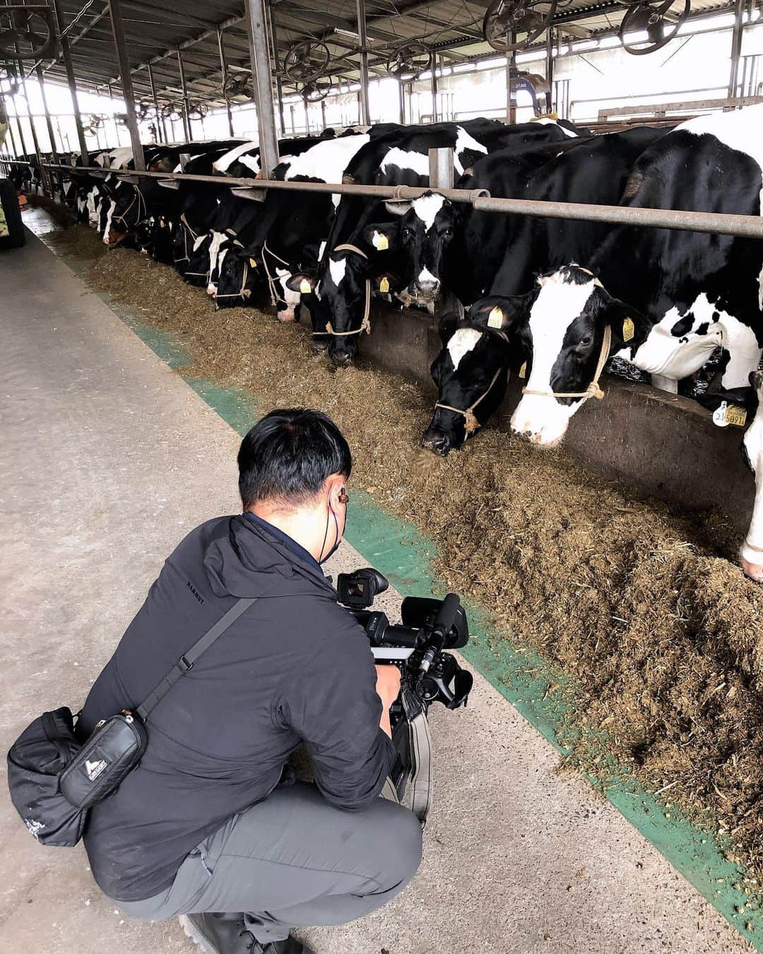 迫田さおりさんのインスタグラム写真 - (迫田さおりInstagram)「・ KKB【ですです。】の取材で鹿屋の戸塚楽農に行ってきました🐮 ・ 子牛にミルクをあげたり、エサをあげたり… ミルクを機械で絞らせてもらったりと、なかなかできない体験をさせていただきました🐮✨ ・ 放送は4月28日金曜日予定です🐮 ・ ・ #鹿児島 #鹿屋 #戸塚楽農 #牛乳 #コープかごしま牛乳」4月19日 20時34分 - saori.rio