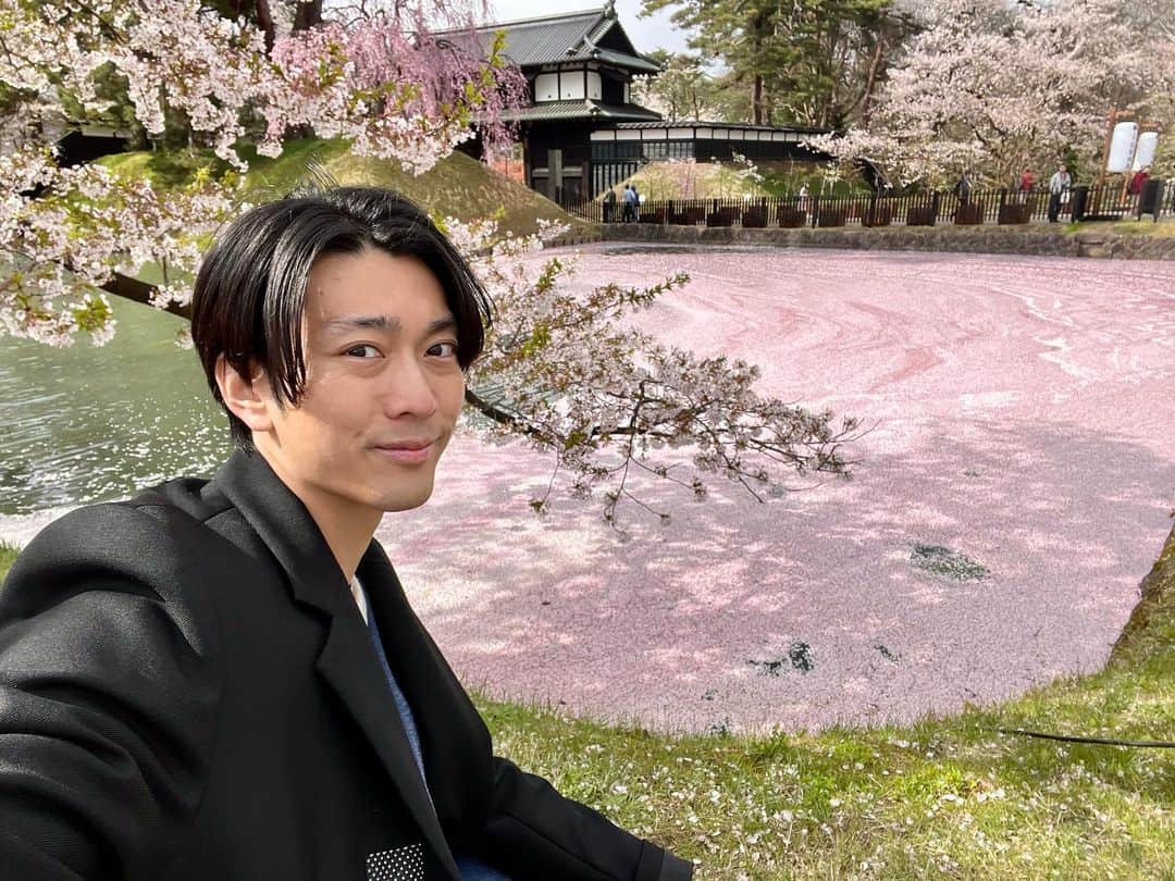 南圭介さんのインスタグラム写真 - (南圭介Instagram)「冬の"弘前城雪燈籠まつり"に引き続き、 春の"弘前さくらまつり"にも行く事が出来ました！  お濠に桜の花びらが敷き詰められる花筏も感じる事が出来ました！ 桜の絨毯、桜のベッドの様で本当に美しいです。  昨年の「元気！弘前」のロケで櫻田市長から弘前の四季折々の魅力を伺う事が出来、今年は全ての季節のイベントに行けたら良いなと思っていたので、冬、春と連続して参加する事が出来て良かったです！ 次は"ねぷた"ですね！  桜の開花は例年より早かったですが、52種2600本もの桜が咲き誇る弘前公園の景色はとても美しく可憐で、まさに絶景です。  長い期間、桜の美しさを感じる事が出来るのは、たくさんの桜の種類がある弘前公園ならではだと思います。  日本の皆様にはもちろん、海外の皆様にもこの美しさを共有出来たらなと！  This is one of the most beautiful cherry blossom festivals in Japan.  Bunga sakura sudah mekar. Indah?🇮🇩  #弘前さくらまつり #弘前公園 #弘前城 #弘前 #青森 #桜 #さくら #花筏  #hirosaki #hirosakipark #hirosakicastle #aomori #cherryblossom  #hirosakicherryblossomfestival」4月19日 21時03分 - keisuke_minami73