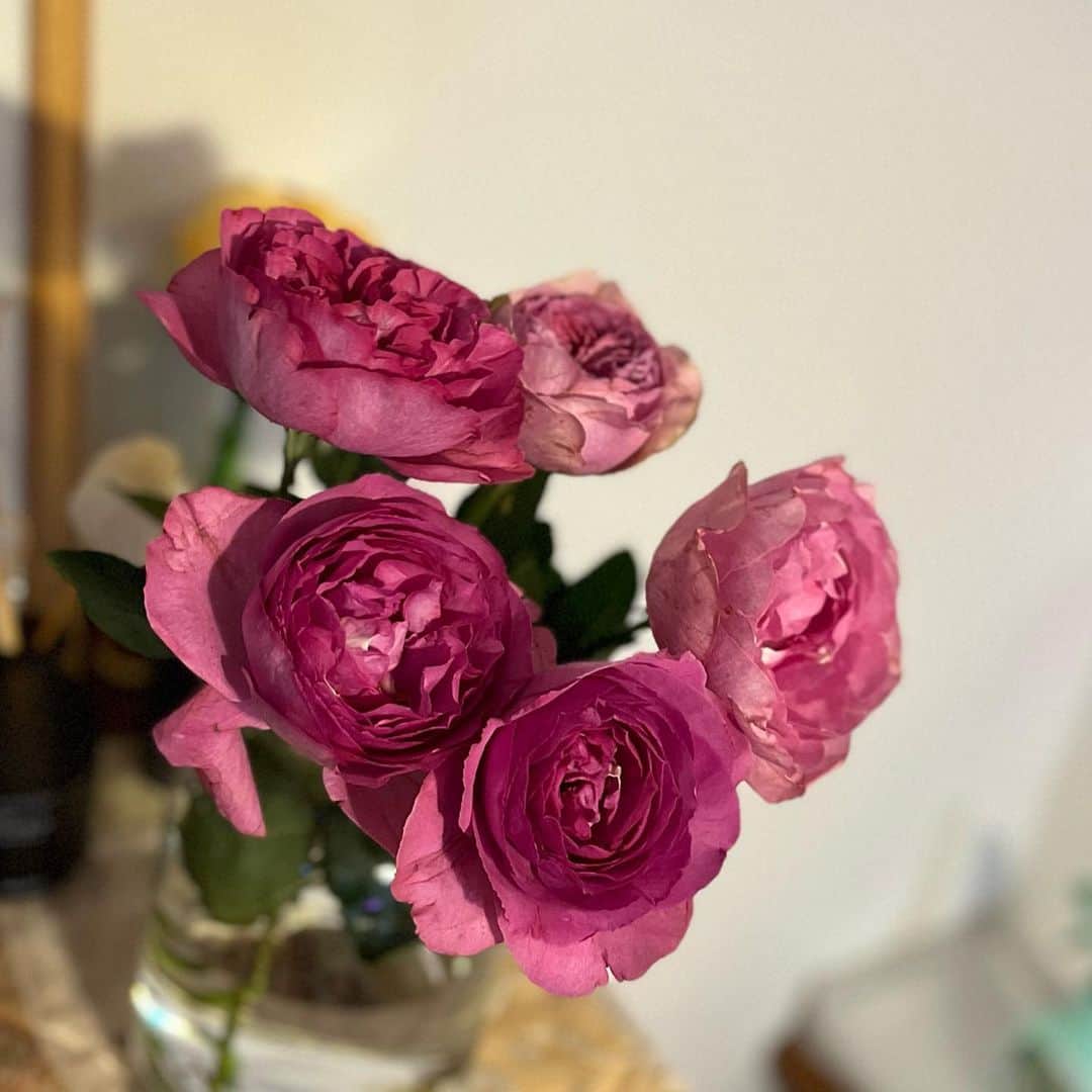 森田恭子さんのインスタグラム写真 - (森田恭子Instagram)「尾道、ちいさな街。商店街のお花屋さんで白水さん（歌々の棲家やLR49で絵を描いていただいた方）とバッタリ。買ってる花も一緒で、甘〜い匂いのバラなのでした🌹」4月19日 20時58分 - mori_kyon