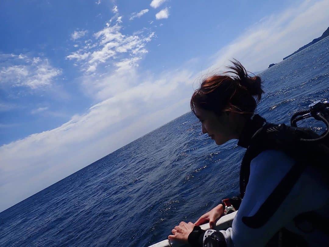 和田瞳さんのインスタグラム写真 - (和田瞳Instagram)「@diving_likkle_more でスポーツダイバーのライセンスを取得しました🤿♡  前回取ったオーシャンダイバーよりもさらに深い30mまで潜れるようになりました！わーい！  前に安良里で潜ったときに見られたウミガメも載せておきます🐢💚  ダイビングをストーリーに載せると、寒そうとか怖いとかネガティブイメージもあるみたいなの。 冬はドライスーツだから全然寒くないし、実は手と頭以外濡れないんだよ！！！！！  海の魅力に気づかせてくれたリコモさんに感謝です🥰」4月19日 21時16分 - hitogram0218