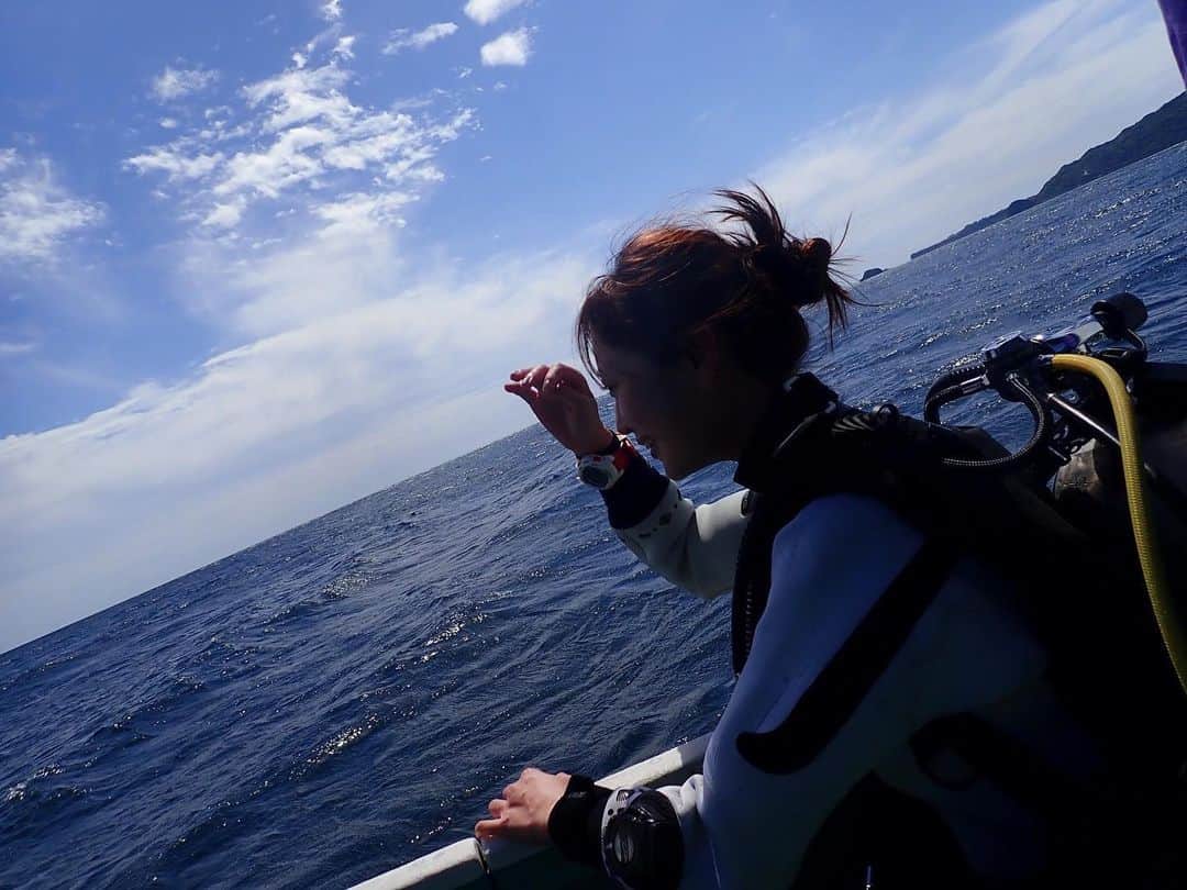 和田瞳さんのインスタグラム写真 - (和田瞳Instagram)「@diving_likkle_more でスポーツダイバーのライセンスを取得しました🤿♡  前回取ったオーシャンダイバーよりもさらに深い30mまで潜れるようになりました！わーい！  前に安良里で潜ったときに見られたウミガメも載せておきます🐢💚  ダイビングをストーリーに載せると、寒そうとか怖いとかネガティブイメージもあるみたいなの。 冬はドライスーツだから全然寒くないし、実は手と頭以外濡れないんだよ！！！！！  海の魅力に気づかせてくれたリコモさんに感謝です🥰」4月19日 21時16分 - hitogram0218