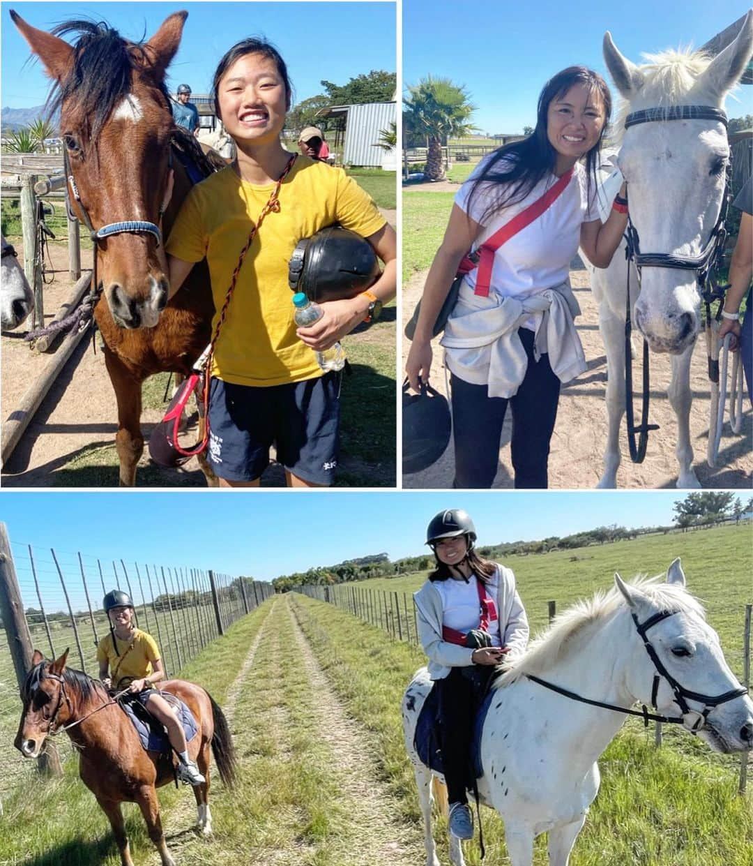 桑井亜乃さんのインスタグラム写真 - (桑井亜乃Instagram)「※ 南アフリカに来ています🇿🇦 Match Official Referee Academy  1週間のレフリー研修が終わりました🏉 英語での座学、S&C、ゲームレフリーと1週間濃い時間を過ごさせてもらいました！！ 初日にみんなでテーブルマウンテン⛰に行ったり、移動日には馬に乗ったり🏇、ワイン農園に行ったり🍾  📸写真は全てレフリー研修期間！  日曜日に1週間お世話になった皆さんとお別れをして、場所を移動してチャレンジャーシリーズのメンバーと合流🏉  明日から、ワールドラグビー・チャレンジャーシリーズがはじまります。 １大会1試合を大切にして、今よりも成長できるように、そして感謝の気持ちをもってトーナメントに参加してきます。  いつもありがとうございます✨  #WORLDrugby #challengerseries #SouthAfrica #南アフリカ #CapeTown #Stellenbosch #rugby7s #ラグビー #ラグビー日本代表 #サクラセブンズ #ラグビー #rugby #女子ラグビー #レフリー #referee #八木橋百貨店 #canterbury #puma #大正製薬 #五反田病院 #きたもと脳神経外科クリニック #解説 #コメンテーター #commentator #フィットネス女子 #女子アスリート #anokuwai #worldseries #オリンピック」4月19日 21時25分 - ano.1020