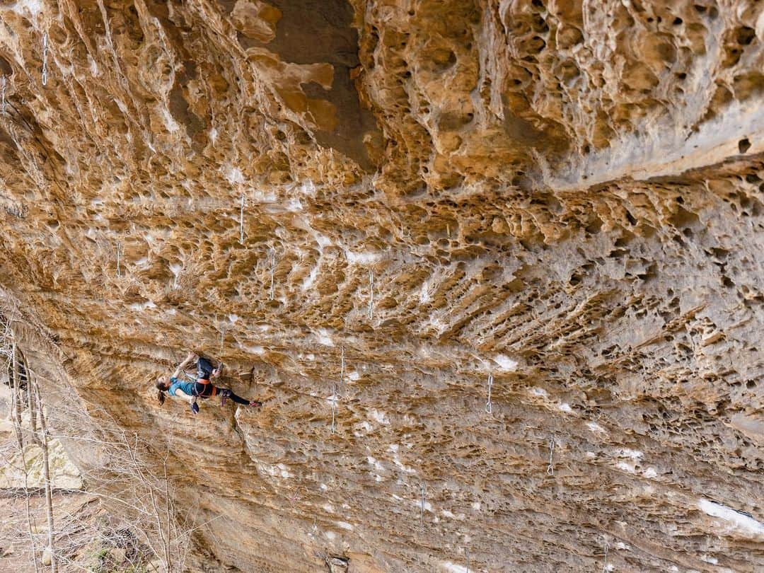 バーバラ・ザンガールのインスタグラム：「„50 words for pump“ 5.14b ✅ another classic line from the RED. #pumpwasreal   📸 @francoislebeau   @blackdiamond @lasportivagram @vibram @corosglobal @powerbar @frictionlabs」