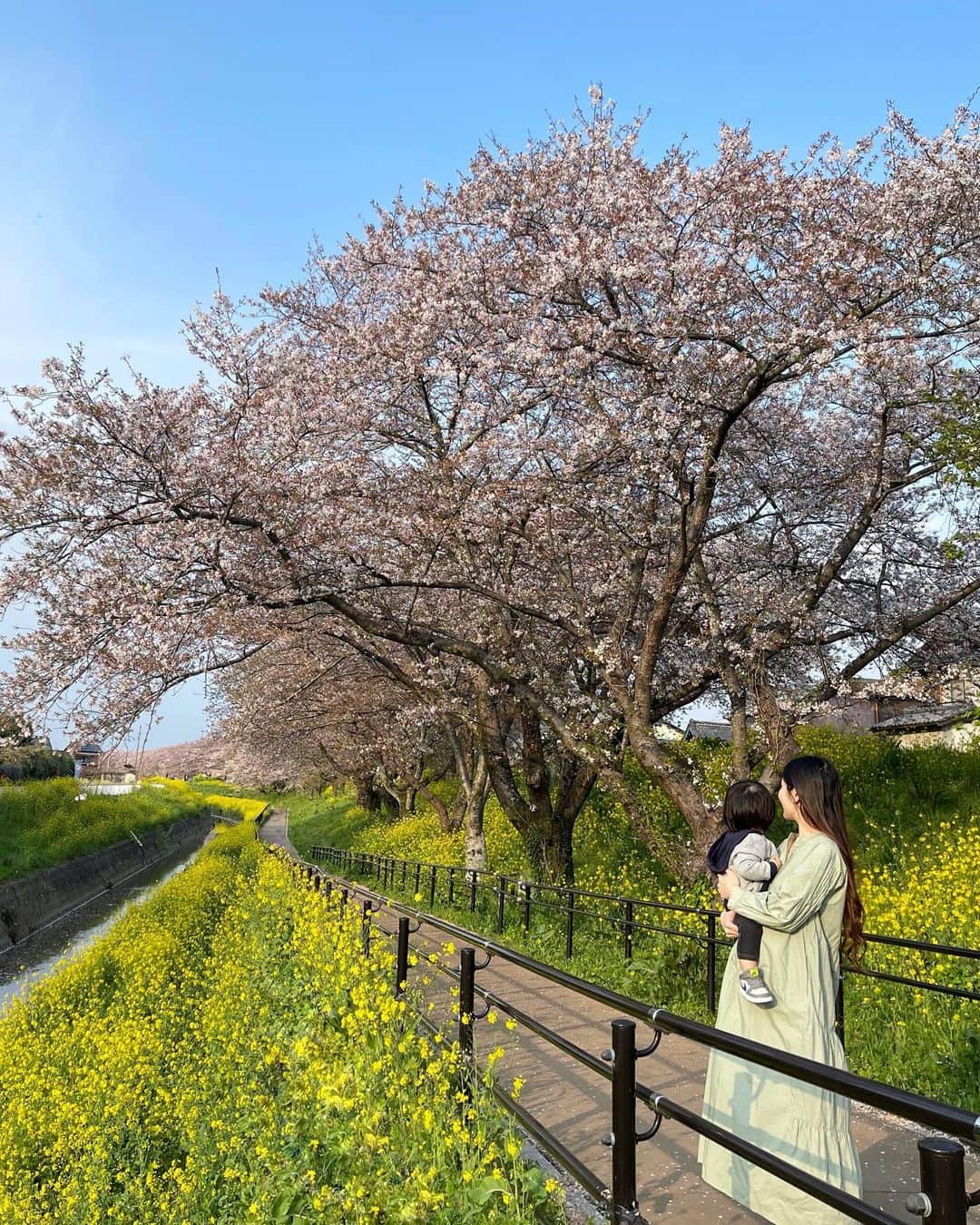 田中響子さんのインスタグラム写真 - (田中響子Instagram)「少し前のお花見さんぽ🌸  桜は少し散りかけていたけど 穴場お花見スポットを探して行ったので 人が少なくてゆっくりできました。  来年は4人で来ようね💕」4月19日 21時27分 - coco.golf