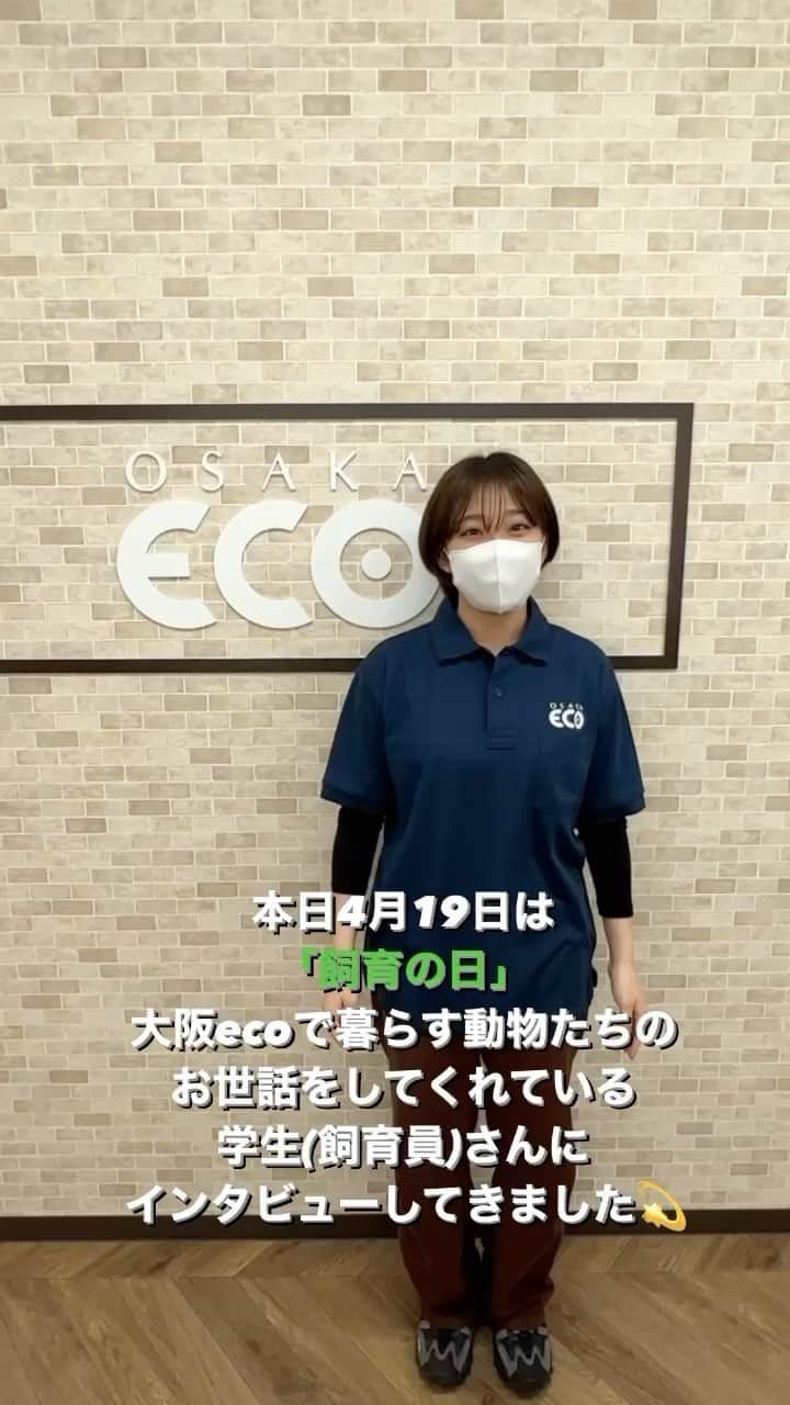 大阪ECO動物海洋専門学校のインスタグラム：「.  今日は何の日？？4️⃣1️⃣9️⃣🦒🌳 パート1  #大阪eco動物海洋専門学校#大阪eco  #動物専門学校 #動物園動物飼育専攻 #動物飼育 #動物園 #水族館 #飼育員 #ドルフィントレーナー #アクアリスト #動物看護師 #トリマー #ドッグトレーナー#動物好きと繋がりたい#犬好きと繋がりたい#今日はなんの日 #飼育の日」