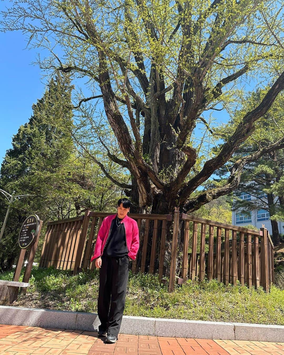 のインスタグラム：「😍  #송호대학교」