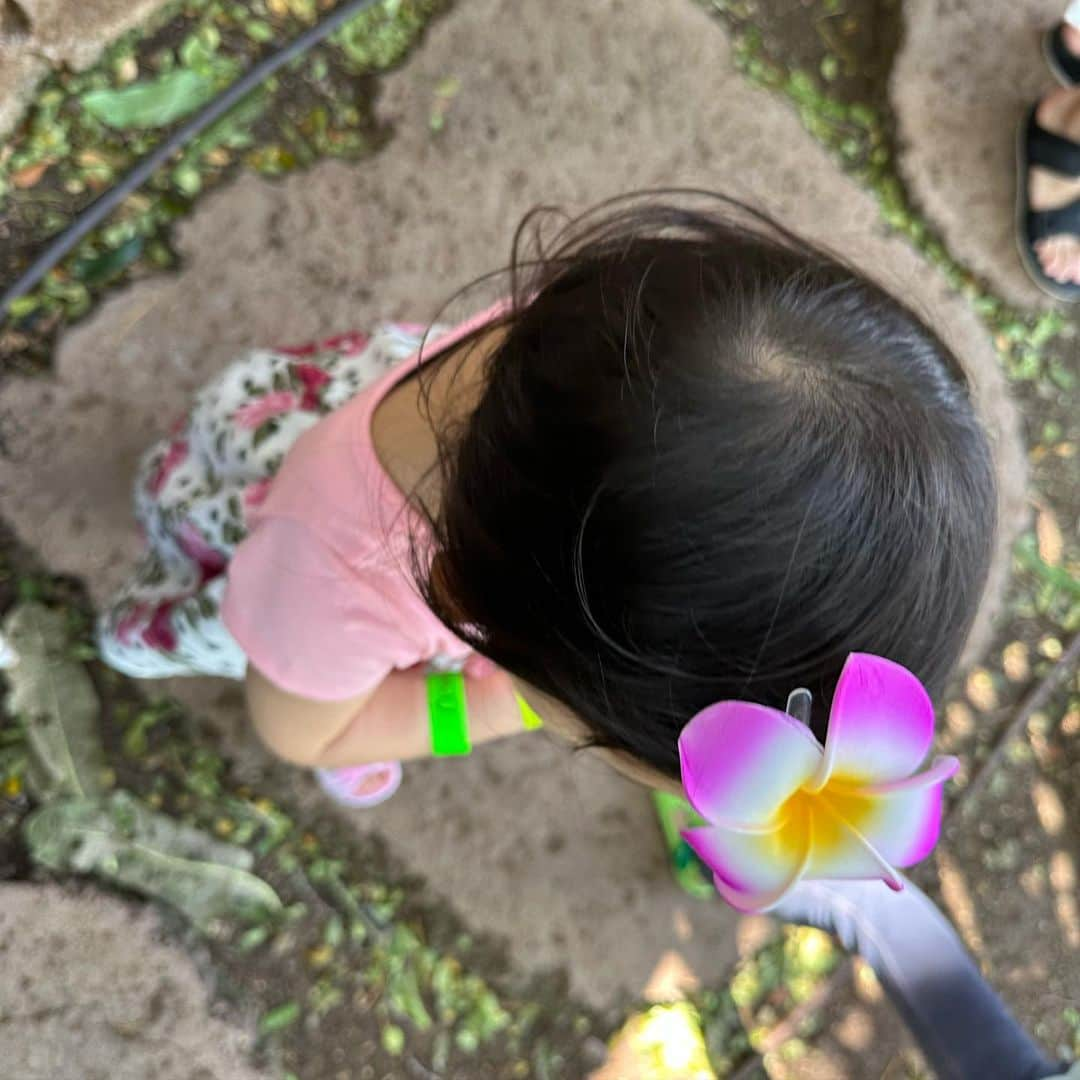 花田浩菜さんのインスタグラム写真 - (花田浩菜Instagram)「新学期も始まり、 あっという間に4月も下旬でびっくり😂 . . . 3歳の娘はコロナと共に生きてきたので、 今年になって初めての海外旅行に行ってきました✈️ 久しぶりのハワイ🌺 ほとんど海とプールとホテルだけだったのであまり出掛けていないけど、最高にリフレッシュ✨ 子供達も本当に楽しそうで、飛行機も楽になり成長したなぁ、、と感慨深かったです。 . . 書きたいことも載せたいこともたくさんあるのに日ばかりが過ぎていく、、😅 またちょこちょこと#子連れハワイ 載せたいなと思います🌺🥰 . . . . #ハワイ旅行 #子連れ旅行 #子連れハワイ #2歳差育児 #兄妹ママ #ワイキキ #アウラニ #hawaii #hawaiistagram #子連れハワイ」4月19日 13時37分 - hanadahirona