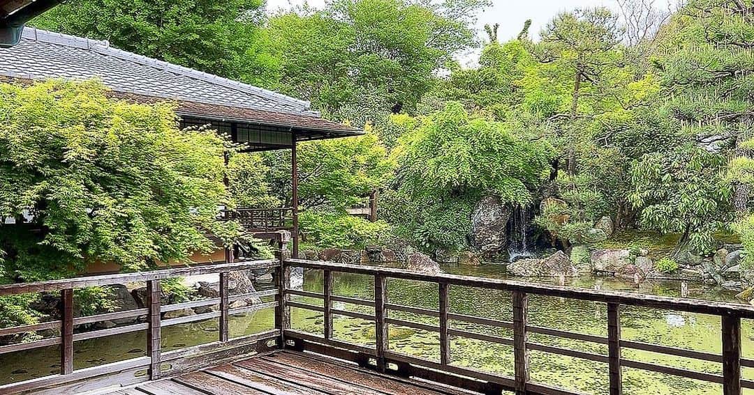 星見 蒼央＊Hoshimi aoのインスタグラム：「庭園がすき。 庭園眺めながらお抹茶頂く時間が好き。 ※庭園の知識は0。笑  #渉成園 #京都ひとり旅  #ひとり旅 #京都旅行 #日本庭園」