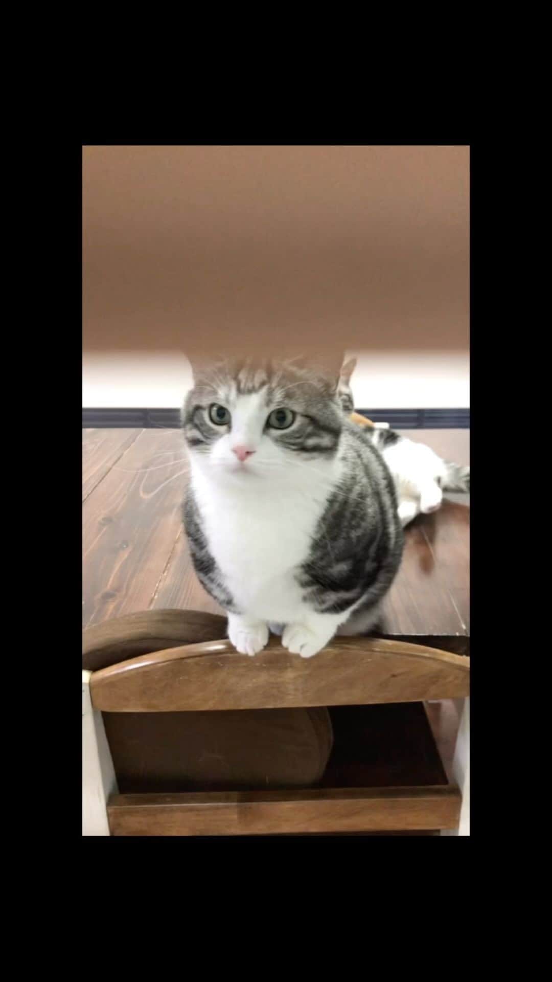 kamunaのインスタグラム