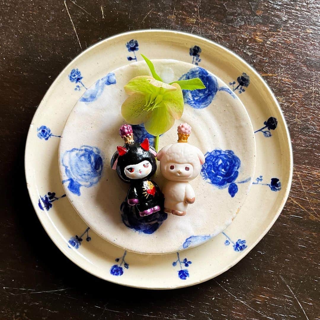 加倉井ミサイルのインスタグラム：「ごきげんよう、みなさん！ 今年もミミたちの庭のクリスマスローズがたくさん花を咲かせてくれました。 作者の制作したRing-a-Ring-o' Rosesのお皿と記念写真。パシャリ✨  #ソフビ #sofvi #softtoy #softttoys  #ワルミミ #warumimi #christmasrose」
