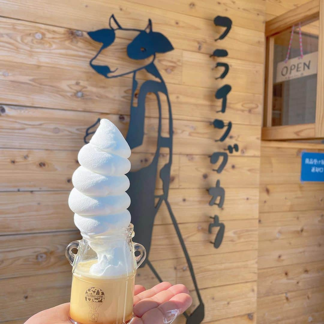 秋本ゆかりのインスタグラム：「プリン🍮の上にソフトクリーム🍦 もりもりのプリンソフト☺️ 牧場がやっているので、ミルク感ハンパない✨ ひと口食べたら、モ〜っと欲しくなる🐄おいしいプリンソフトでした🤤 イートインコーナーもあるのでゆっくり食べられますよ☺️  閉店間際に滑り込みましたが、人気店でお客さん多かったです♪  食べ終わると、 モ〜🐄と牛になった3人でした！  ∞∞∞∞∞∞∞∞∞∞∞∞∞∞∞∞∞∞∞ ☑︎大富牧場　フライングカウ🐄 ☑︎佐賀県三養基郡みやき町蓑原708 ☑︎木曜〜日曜販売 ☑︎11:00〜17:00 ☑︎駐車場あり ∞∞∞∞∞∞∞∞∞∞∞∞∞∞∞∞∞∞∞  . #みやき町グルメ#みやき町スイーツ#フライングカウ#大富牧場#牧場プリン#プリンソフト」