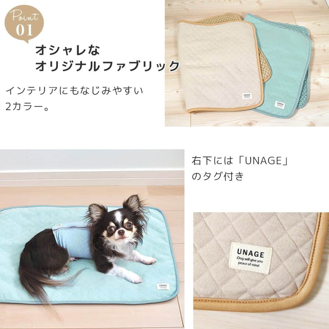 iDog&iCatさんのインスタグラム写真 - (iDog&iCatInstagram)「人気のウェルネスシリーズにマットが登場✨  「ウェルネスキルトマット」  シニア期や病気のペットが快適に過ごせるように開発した新しい機能性ブランド「unage」(アンエイジ)シリーズのキルトマットです。  中綿入りで、ふんわりと軽く仕上げました。  インテリアにもなじみやすい2カラーです。右下には「UNAGE」のタグを縫い付けています。  「IDOGウェルネス」は高機能素材を固着したペット用品で、着用する愛犬・愛猫にリラックス状態、血流の促進する目的で企画しました。  裏面の柄とロゴが高機能素材を圧着したプリントになっています。  高機能素材はわずか１グラム未満で効果が表れます。いつもと変わらない使用感で、ペットへ負担がかかりません。  ※高機能素材の効果の出方には一定の限度があります。  ウェルネスウェアシリーズを重ね着したり、プリント部分を多くしても効果は上がりません。  折り畳んで持ち運びやすいサイズなので、おでかけや通院の時にも使いやすいです。  愛犬・愛猫もシニア期を迎えても、より生き生きとした生活を送るためのサポートをします。  裏面のプリント部分がペットの身体に触れることで、機能効果を発揮します。  #iDogウェルネスウェア #iDog歩行安定ウェア #iDog #iDogiCat #iCat #犬の服 #犬服 #春夏新作 #ペットグッズ #ペット用品 #犬の服iDog #犬 #うちの子優勝 #猫 #マット #シニアサポート #ハイシニア」4月19日 15時43分 - idogicat