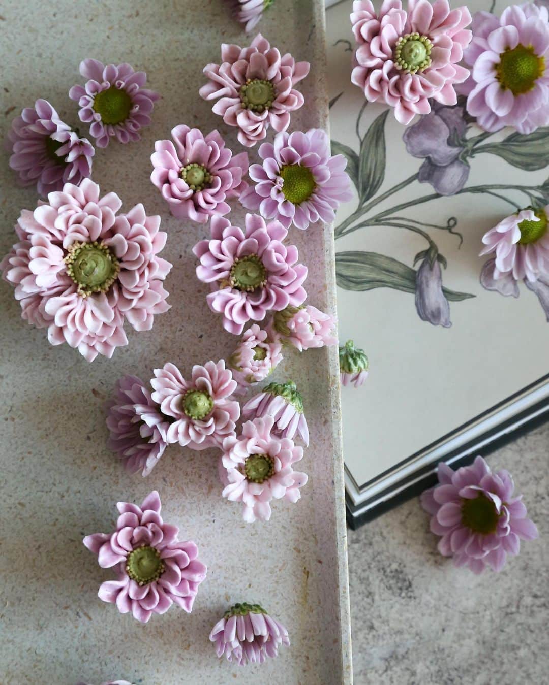 청담 수케이크 (atelier soo)のインスタグラム：「ㅡ Buttercream piping  chrysanthemum  오랜만,국화 ㅡ 그룹의연결 🌸  #piping #chrysanthemum」