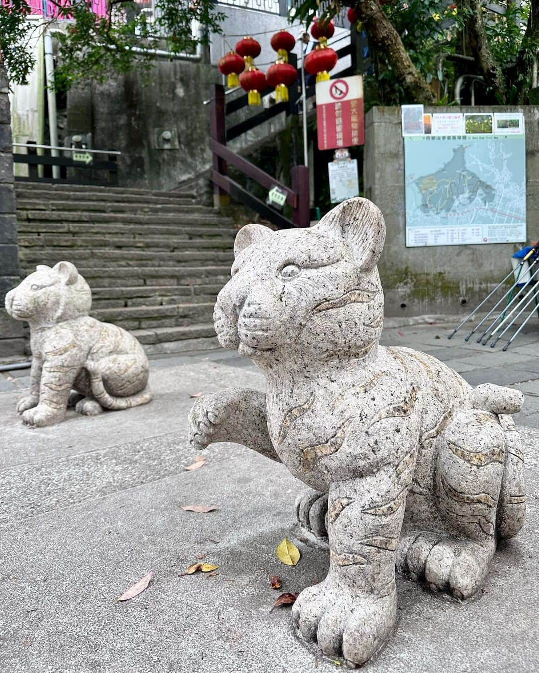 田中千絵さんのインスタグラム写真 - (田中千絵Instagram)「台北は 盆地なだけあって 近場で本当にたくさんの 素敵なハイキングコースに行けるのが 最高です( ´▽` )ﾉ  この日ははじめての 虎山ハイキングコースへ 101の近くとは思えない マイナスイオン全開の場所  しっかりとインプットをして 次への準備に備えたいと思います！ . 🍃🐅My first time Tiger Peak🐅🍃 . 台北是盆地的關係 附近就有很多步道可以去 真的很棒棒( ´▽` )ﾉ  這天第一次去虎山親山步道 真的很難想像 101附近居然有 這樣滿滿負離子的好地方  休息是為了走更長遠的路 趁著有空多吸收一下 很多靈感的來源吧！ . . . #台湾 #台灣 #taiwan  #台北 #taipei  #虎山親山步道 #hushanpeak  #ウォーキングコースの風景  #台北と東京の生活  #中国語」4月19日 17時29分 - chietanaka817