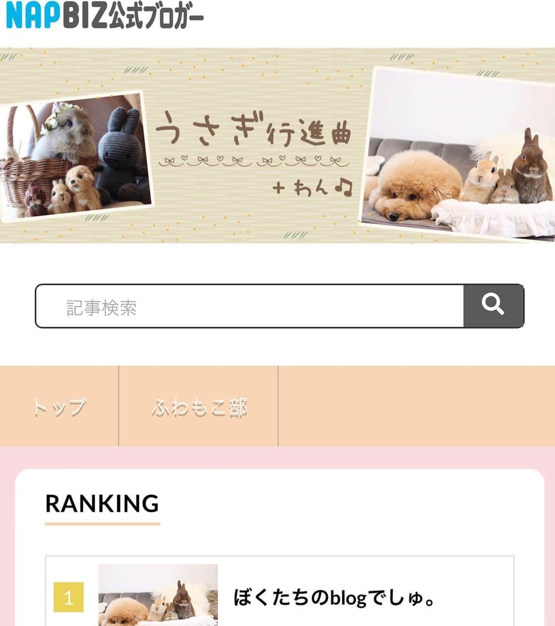 yun.ゆんのインスタグラム：「march.lemon🐻🍋＋cotton.💭＋sugar.🫧 こんばんは♡  このたび マーモンシュガトンの blogをはじめることになりました。📖 . . 「うさぎ行進曲」 の某ブログから  新たに 「うさぎ行進曲＋わん🎵」  というタイトルではじめます。 😂🐶  プロフィール下のURLを ポチッ☝️と押してもらうと ブログページに飛べますので よかったら見てみてください。 よろしくお願いします。💞  このタイトルのかわいいバナー画像。。。 自分でできないから希望をお伝えして作っていただき、、、  一話目、何度も校正をしていただくうちに やっと載せ方も理解し😅 「え？大丈夫なのか？」 と思いながら… やっと、blogページが出来上がりました。✨😂 （わたしより担当の方が大変だったと思うけど。😂）  シュガちゃんお迎えして、新たな子育て🐰で思ったこととか。 マーチとレモンの のんびり健康ライフとか。 コットンのおもしろライフとか。  インスタにのせきれてないところを載せていきます。 細く長くよろしくお願いします。📖 . . . ♪ ♪ ♪ #napbiz  #うさぎ四兄弟  #うさぎ#ウサギ#ネザーランドドワーフ#ZIP写真部#レモン#ふわもこ部#マーチ#多頭飼い#犬とうさぎ#dog#poochon #犬#シュガーくん#うさぎのいる暮らし #犬のいる暮らし  #rabbits#rabbitsofinstagram #rabbitstagram#lapin #pecotv #WeeklyFluff #netherlanddwarf」