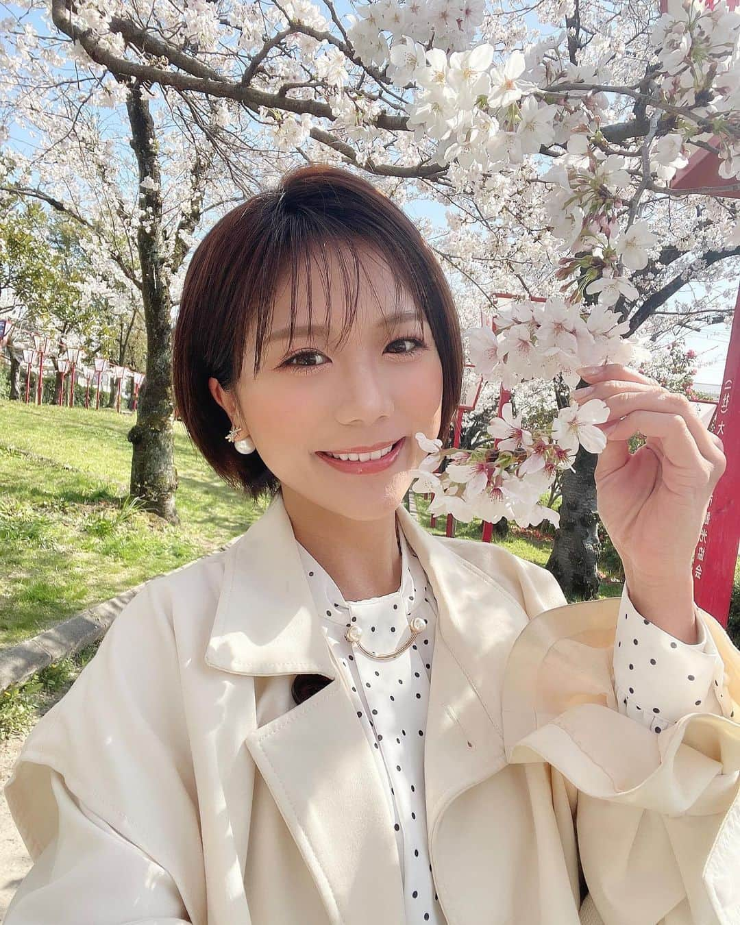 海江田麻貴さんのインスタグラム写真 - (海江田麻貴Instagram)「ㅤㅤㅤㅤㅤ  ㅤㅤㅤㅤㅤ #sakura🌸  #2023春  ㅤㅤㅤㅤㅤ 満開、夜桜、桜吹雪、葉桜まで、☘️ 今年はお仕事で色んな桜を見られて幸せすぎました🌸🤍  ㅤㅤㅤㅤㅤ 散り際の桜の美しさに気づいた2023春ですた🥹🌸✨  ㅤㅤㅤㅤㅤ  ㅤㅤㅤㅤㅤ  #大和郡山 #大和郡山市 #大和郡山お城まつり #お城まつり #桜スポット #桜満開 #満開 #cherryblossom #cherryblossoms #花見 #リポーター #タレント #japanesegirl #日本女孩」4月19日 17時44分 - _makiii0924_