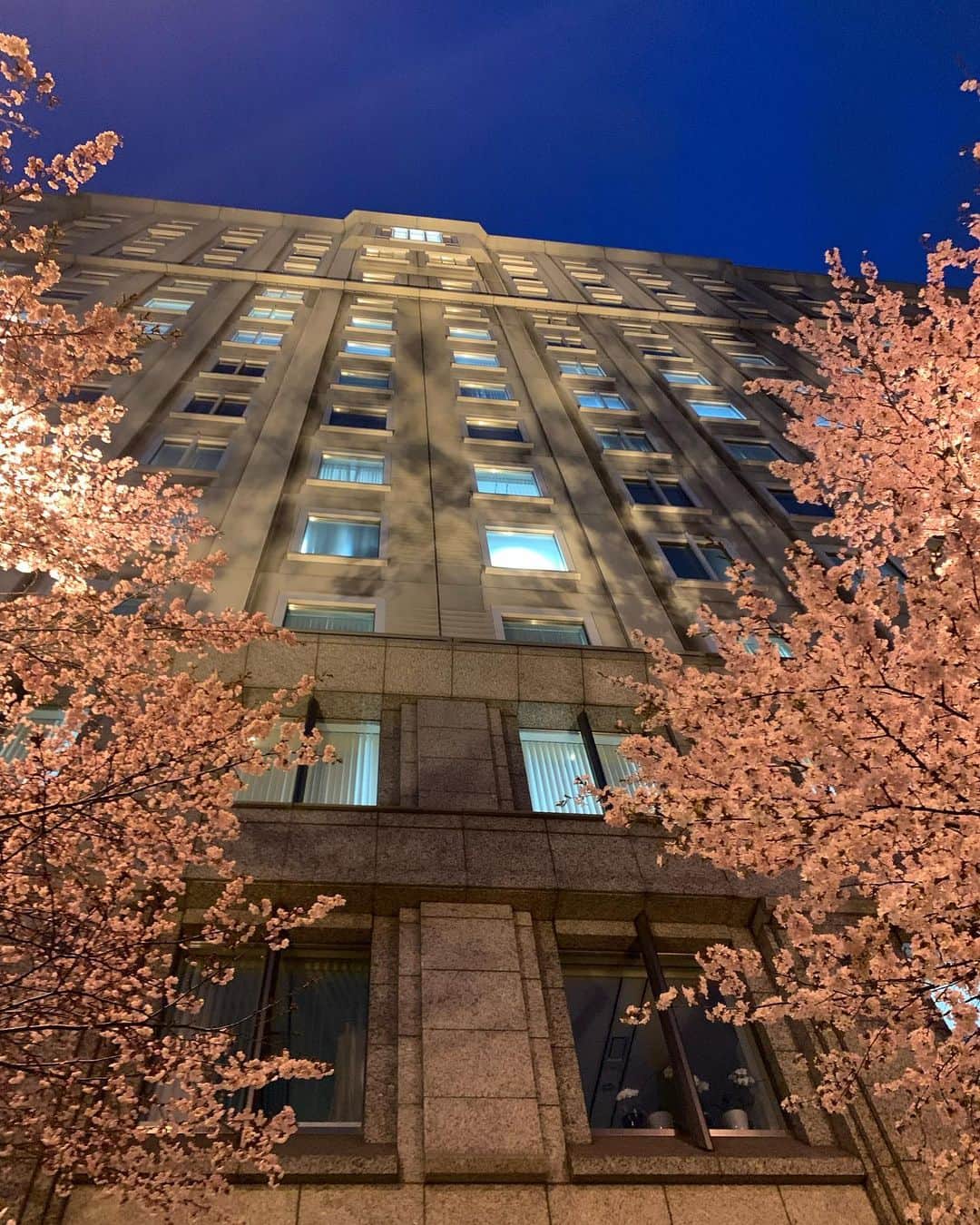 ホテルモントレエーデルホフ札幌ブライダルさんのインスタグラム写真 - (ホテルモントレエーデルホフ札幌ブライダルInstagram)「ホテルの正面の桜の木が見頃を迎えてます🌸 日中の桜も素敵ですがライトアップされた夜桜は日本人で良かったと改めて実感！！ もちろん桜とウェディングの相性もピッタリ 🌸桜ロケーションフォトしてます♪ 北海道の短い桜のシーズンに晴れ姿の思い出を残しませんか📸  まだまだ寒いですが、桜フォトで撮影できるのは、 4月後半〜5月中旬の限られたこの時期だけ！ (桜開花のタイミングに伴い撮影時期は変動致します)  一年にほんのわずかな桜の時期。  撮影時期が短かく人気の桜フォトプランの為 お枠に限りがあります。ご予約はお早めに！ ※桜の時期の土日はお花見の人たちも多いので 　平日の撮影が断然おすすめです。  【プラン内容】 ◆衣装　新郎１点・新婦１点(美容着付込) ◆中島公園での撮影料 ◆ホテル　⇔  中島公園間の往復移動費 ◆写真データ　40カット  洋装プラン　185,000円(税込203,500円) 和装プラン　216,000円(税込237,600円)  #フォトウェディング#結婚式前撮り#2023wedding#桜前撮り#桜フォト#春ウェディング#前撮り札幌#ブライダルフォト#フォト婚#中島公園の桜#中島公園#桜 #桜ウェディング #モントレウェディング #モントレ花嫁 #結婚式  #美しい写真 #素敵な写真  #花嫁会 #ナチュラルウェディング #フォトジェニック #理想の結婚式  #インスタ映え #marry花嫁 #marryxoxo #hotelmonterey #wedding  #photography #weddingphotography」4月19日 17時48分 - edel_hotelmonterey