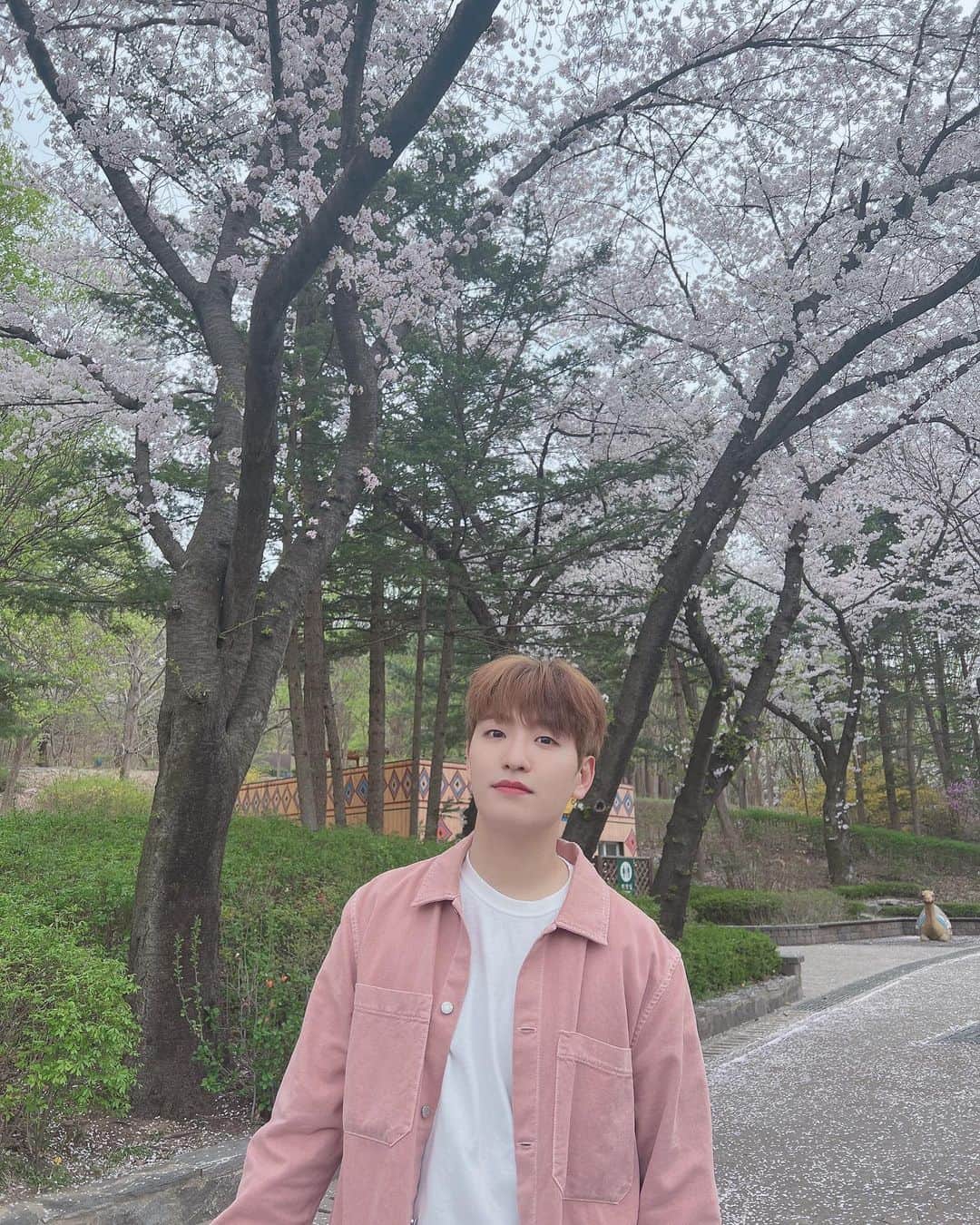 ヒョクジン のインスタグラム：「🌸🌸🌸」