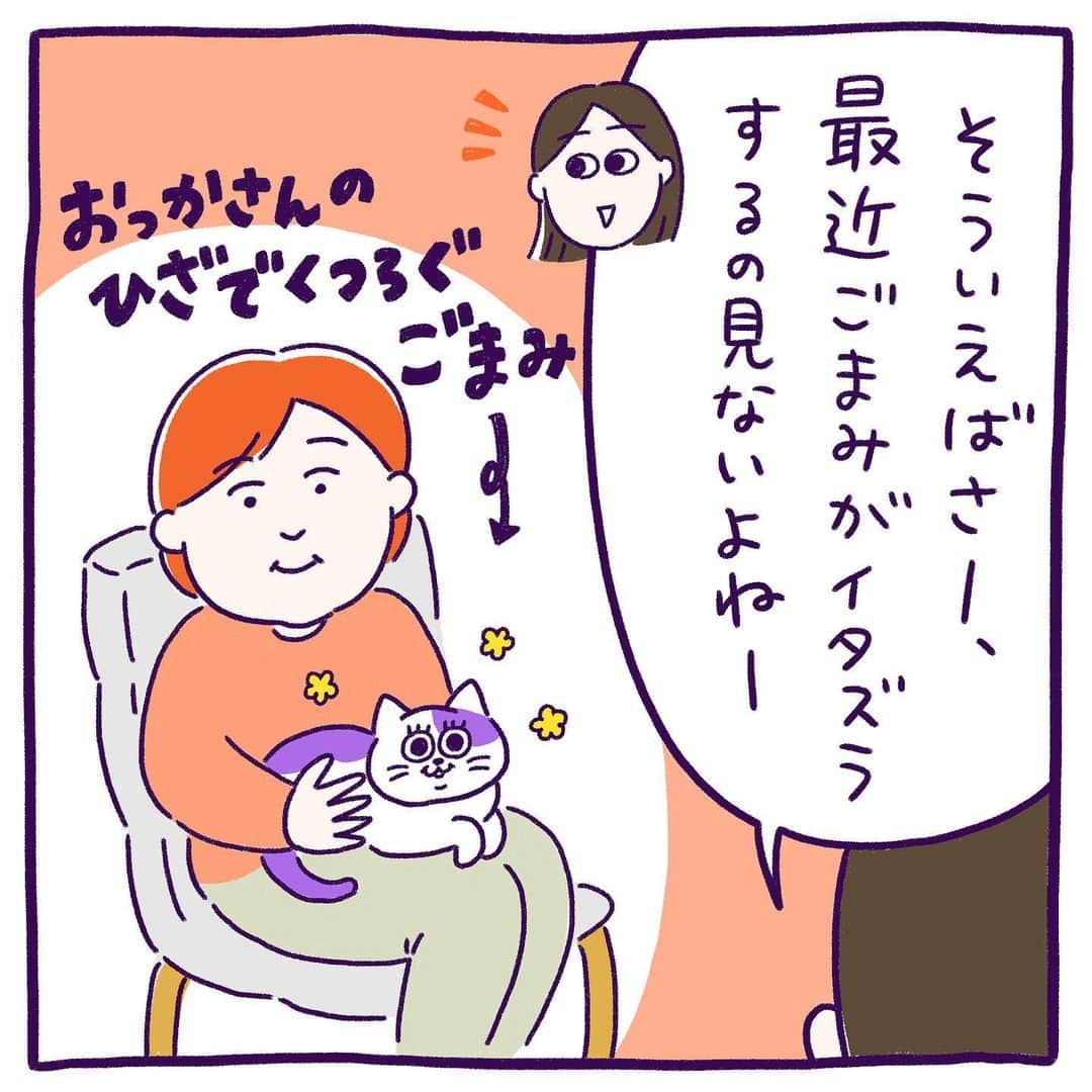 澤村 花菜のインスタグラム：「ごまみスキルアップだよっ！ コソコソ隠れてイタズラができるようになったよっ！  #ぐみごまのまんが  #イラスト #漫画 #日常漫画 #猫 #絵日記」