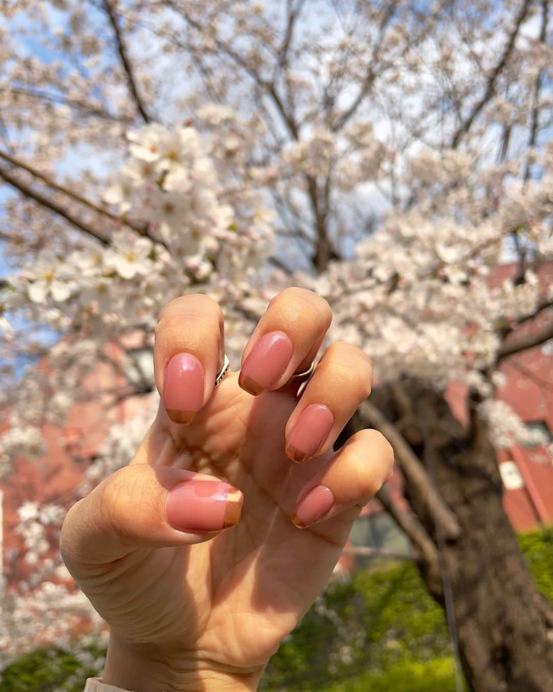 青山恵梨子さんのインスタグラム写真 - (青山恵梨子Instagram)「💅歴代ネイル総集編💕  大好きなゆりさんのラストネイル♡  こう見たら、毎月いろんなネイルやってるなぁ😚  10年近く毎月お世話になりました🙇‍♀️ 定期報告会のようで 相談も愚痴も聞いてもらって なにより的確なアドバイス…🙏  YRのお客さんは全員、 ゆりさんを占い師か何かだと 思っていた事でしょう…🔮  飲み屋のママに話聞いてもらう サラリーマンの気持ちがよく分かる。  1番全てを話してたなぁ🤣✨  人生のステップアップで 自分の事のようにすごく嬉しいし、 とっても楽しみだけど でもやっぱり寂しい…🥲😭  またゆりさんに良い報告できるように 頑張っていきます〜😉💕  また会う日まで…💅💓  #ネイル #ジェルネイル  #池袋 #シンプルネイル #シンプルネイルデザイン  #ネイルデザイン #オフィスネイル  #nail #nails #ミラーネイル #フレンチネイル  #マグネットネイル #グラデーションネイル  #ガラスフレンチ #ラメネイル」4月19日 18時00分 - eriko_aoyama