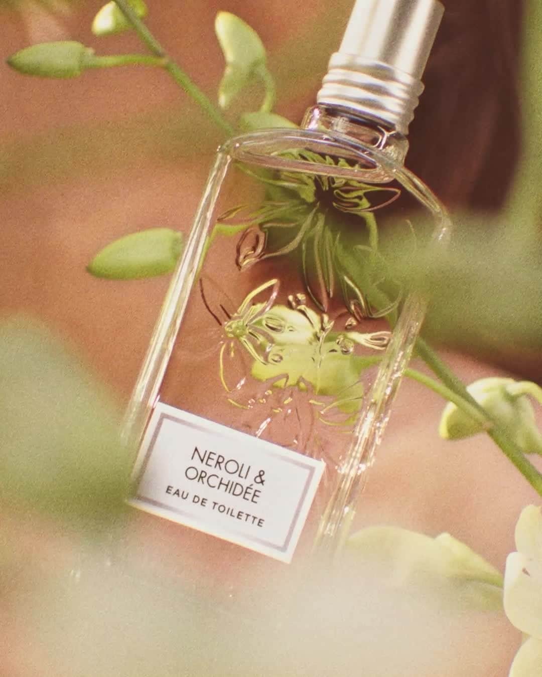 ロクシタンのインスタグラム：「Sparkling and joyful, Julie Massé was born in Tokyo, and lived in Japan until the age of five. From the earliest age she wanted to smell everything. It was her favorite way of discovering the world, and ignited a lifelong ambition to work in the perfumery industry.⁣ ⁣ She began to train with samples of fragrances and raw materials her father brought home. Orange blossom is one of her favorite flowers, because it reminds her of Provence, her roots, and represents to her the quintessence of femininity.⁣ ⁣ #NeroliAndOrchidee #WeCraft #Fragrance #SpringScent⁣」