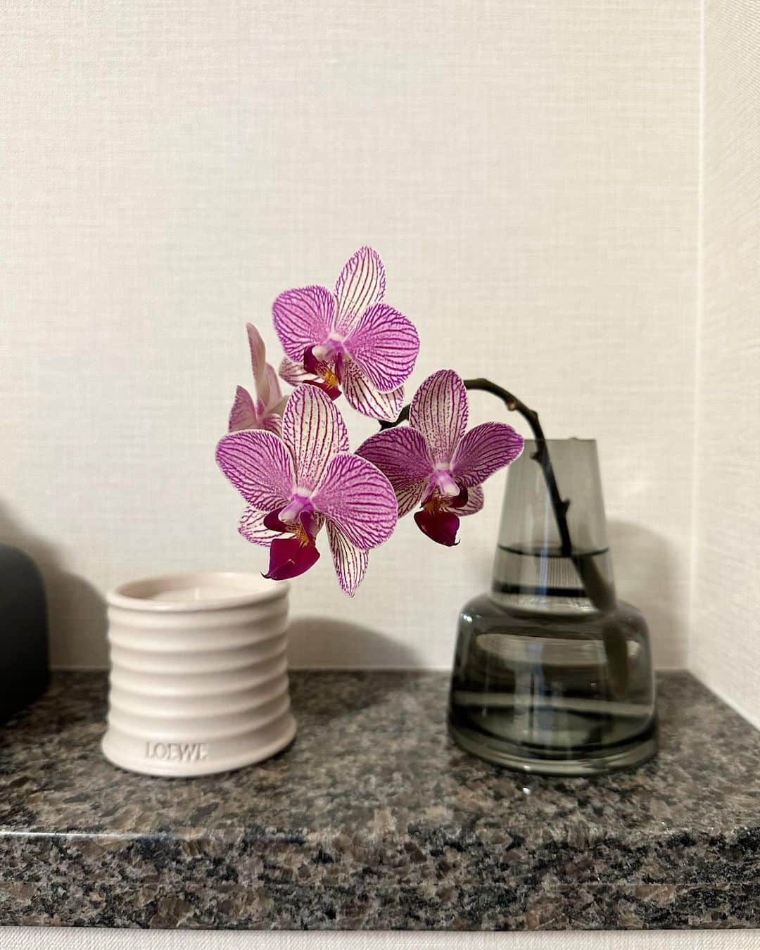 左近鈴乃さんのインスタグラム写真 - (左近鈴乃Instagram)「. flowers in my house 🌷💗🏠💐」4月19日 18時09分 - suzuno_sakon