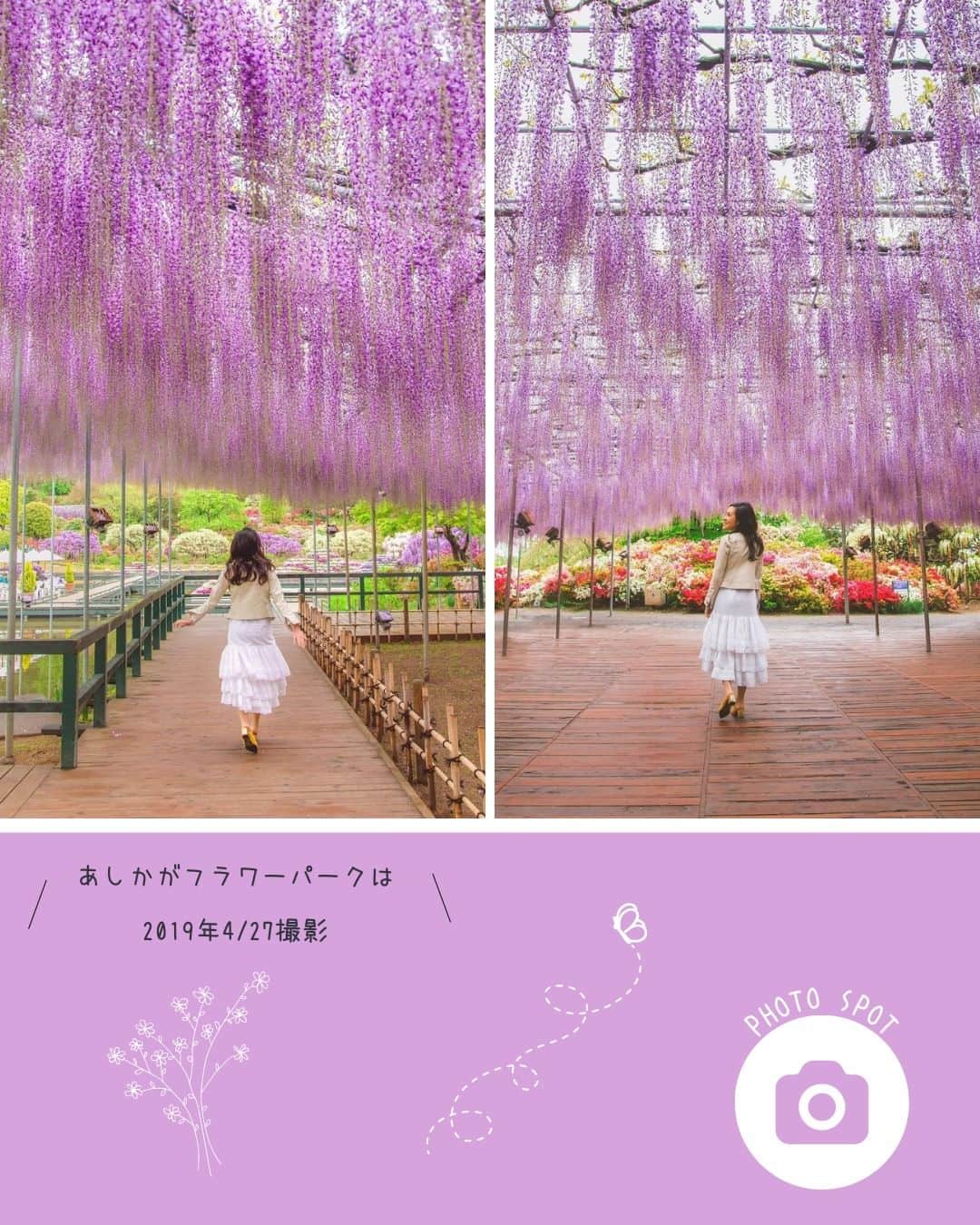 タビジョさんのインスタグラム写真 - (タビジョInstagram)「他のスポットはここから👉@tabi_jyo  『河内藤園』『あしかがフラワーパーク』 本日の #タビジョ は ／ @kyoko1903 さんの投稿をシェア💛💙 ＼  ☻︎☻︎✈︎✈︎✈︎✈︎✈︎✈︎✈︎✈︎✈︎✈︎☻︎☻︎  福岡県にある『河内藤園』と、 栃木県の『あしかがフラワーパーク』では 藤の花が見頃を迎えとっても綺麗です💜 春はいろんなお花が咲いて カラフルでかわいいですね🥰💐  ☻︎☻︎✈︎✈︎✈︎✈︎✈︎✈︎✈︎✈︎✈︎✈︎☻︎☻︎  @tabi_jyo アカウントでは旅先の新たな魅力を発信中✨ スポットや写真の撮り方の参考におすすめ💛 レポーター募集などはアカウントから配信しているよ👭 気になる方はフォローしてね🌈  #タビジョ #旅行 #tabijyo #国内旅行 #tabijyomap_japan #福岡県 #河内藤園 #栃木県 #あしかがフラワーパーク #福岡旅行 #九州旅行 #栃木旅行 #関東旅行 #藤の花 #藤の花トンネル #藤棚」4月19日 18時20分 - tabi_jyo