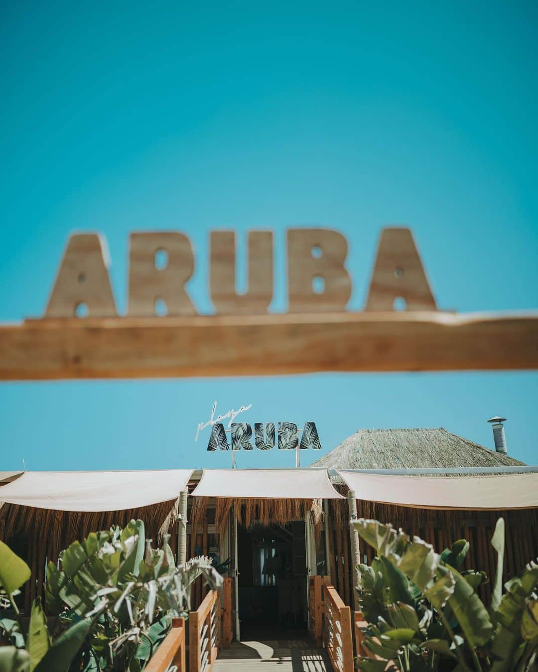 アレクシス・ルアーノさんのインスタグラム写真 - (アレクシス・ルアーノInstagram)「PURA MAGIA 🪄 Que no te lo cuenten, VÍVELO!!@playa_aruba 😍😍😍」4月19日 18時32分 - alexis_ruano_2