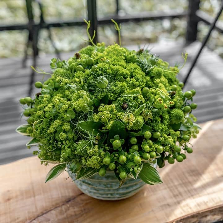 のインスタグラム：「All green everything 🌿 ⁠ ⁠ With its lush greenery and vibrant hues, a green bouquet always adds a refreshing touch of nature to any space - even more so when surrounded by the beautiful nature of Hakone 💚⁠ .⁠ .⁠ .⁠ .⁠ #nicolaibergmann #flowerdesign #ニコライバーグマン #フラワーデザイン #니콜라이버그만 #꽃다발 #букетцветов #ramosdeflores #blumenstrauß」