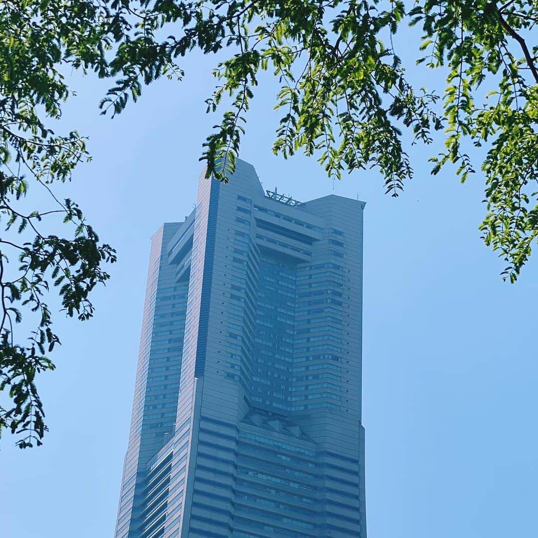 横浜ロイヤルパークホテルのインスタグラム：「. 新緑の美しい季節がやって来ました🌿 青い空と新緑がみなとみらいの街並みを鮮やかに引き立てます。  ホテルにお越しの際は、周辺の散策も気持ちが良くておすすめです。  皆さまのお気に入りの散策スポットをぜひコメント欄で教えてください☺️  #横浜ロイヤルパークホテル #yokohamaroyalparkhotel」