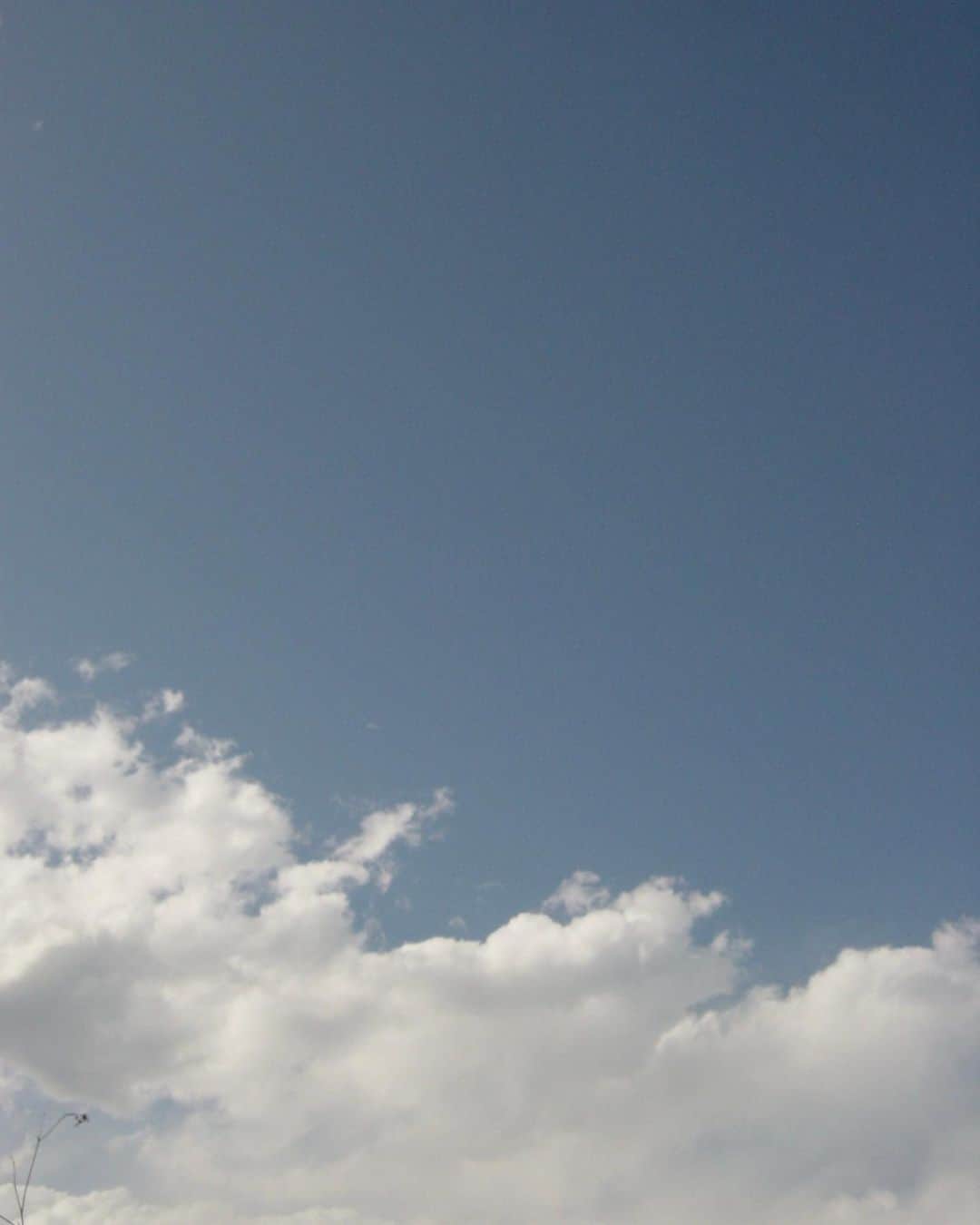 竹内アンナさんのインスタグラム写真 - (竹内アンナInstagram)「最近買ったデジカメで撮った空が あまりにも良い。 ㅤㅤㅤㅤㅤㅤㅤㅤㅤㅤㅤㅤㅤ ㅤㅤㅤㅤㅤㅤㅤㅤㅤㅤㅤㅤㅤ ㅤㅤㅤㅤㅤㅤㅤㅤㅤㅤㅤㅤㅤ  #Cybershot  ㅤㅤㅤㅤㅤㅤㅤㅤㅤㅤㅤㅤㅤ」4月19日 18時49分 - annasingguitar