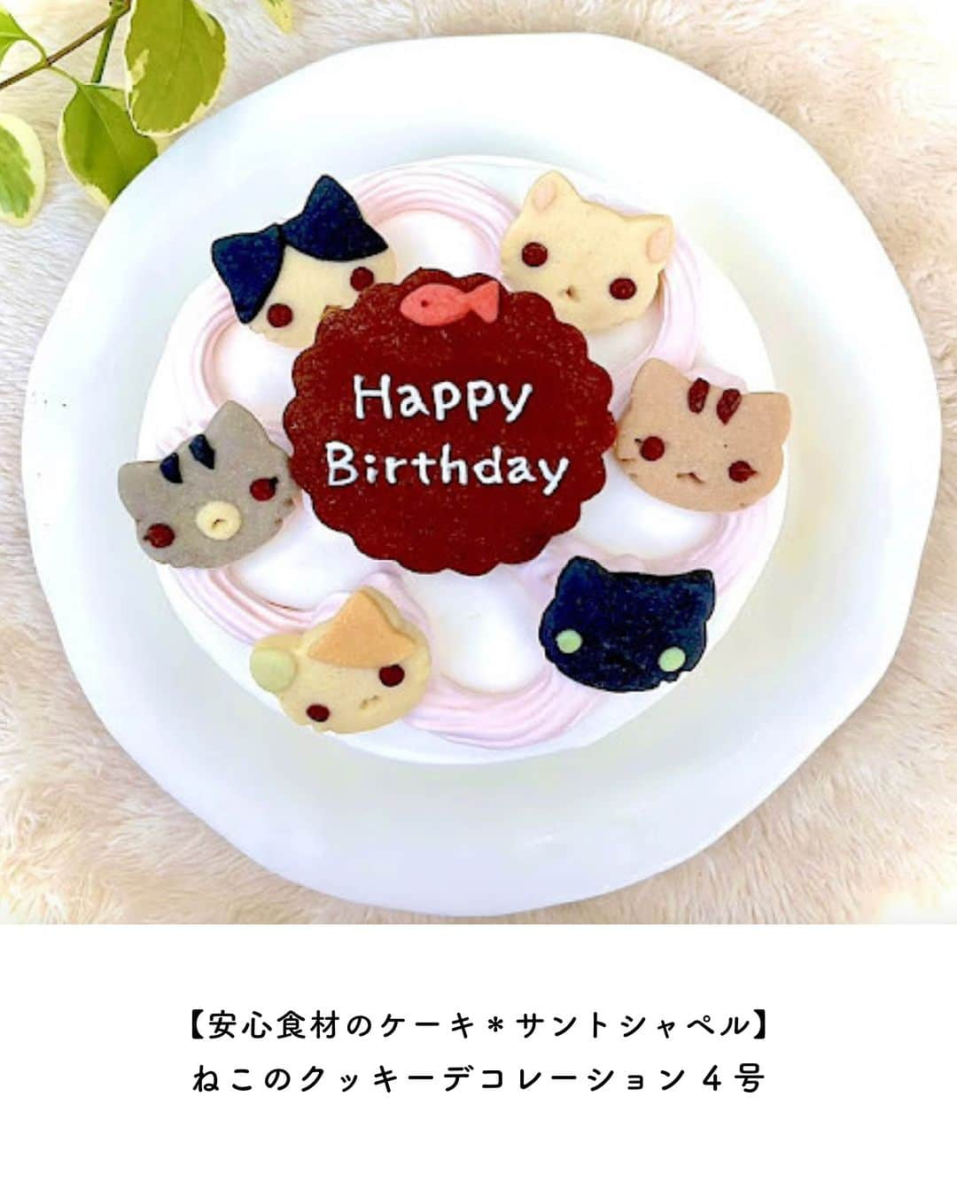 Cake.jpさんのインスタグラム写真 - (Cake.jpInstagram)「動物スイーツ・ケーキ特集🐶 動物好きにはたまらない✨  動物メッセージプレート クマのアイシングクッキー🐻 猫和菓子🐈、などなど  TVで紹介されたで紹介された 人気スイーツをお楽しみ下さい😊  #和菓子#洋菓子#和スイーツ#ケーキ#おすすめケーキ #飼育の日#動物#アイシングクッキー#クッキー #スイーツギフト#スイーツ#スイーツ部 #スイーツ男子 #スイーツ女子 #スイーツ好き#スイーツテロ #スイーツ巡り  #スイーツ好きな人と繋がりたい #お取り寄せ  #お取り寄せグルメ #お取り寄せスイーツ #可愛いスイーツ#人気スイーツ#おうちスイーツ」4月19日 19時00分 - cakejp_official