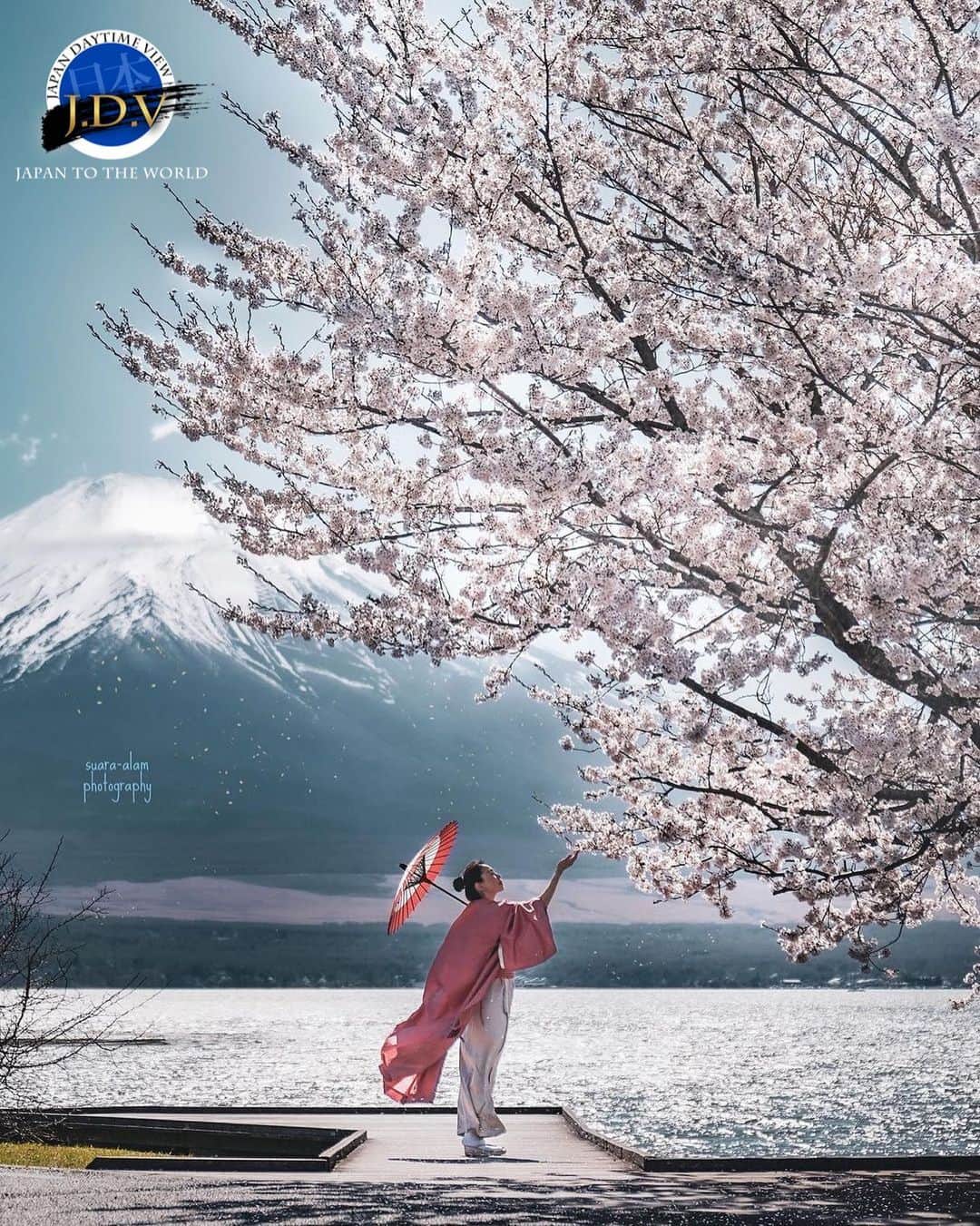 japan_daytime_viewのインスタグラム：「⁑ ✨👑 J D V Photo Of The Day 👑✨ ⁑ ✨🎊 C O N G R A T U L A T I O N S 🎊✨ 素敵な作品をシェアして頂き有難う御座います🙏🏻 ⁑ Photographer : @suara_alam  Location : 山梨県 Photo Selected : @mikanino_2016 フィーチャー条件 ① 撮影地（都道府県名）が判別出来る情報の記載 。 ② @Japan_Daytime_View をフォロー。 ③ ハッシュタグに #Japan_Daytime_View を付加。 ⁑ ※ 緊急事態宣言に伴い、立ち入り禁止とされている場所や私有地、災害発生による危険区域での撮影、また、近隣住民の方へのご迷惑となるような行動はお控えください。 ⁑ ※ 今後、立ち入り禁止区域で撮影した写真だと判明した場合には、フィーチャー後であったとしても取り下げる場合がございますこと、あらかじめご了承ください。 ⁑ ご理解とご協力のほどよろしくお願いいたします🙇🏻‍♀️ ⁑ Admin : @masa.172 Mod : @mikanino_2016 Mod : @lll_photo_ Mod : @may1228maho  ⁑ 🎌Japan Viewグループ🎌  @japan_daytime_view (日の出〜日没迄の写真) @japan_night_view (日没から日の出迄の写真) --------------------------------- #Japan#日本#風景#山梨#桜ポートレート」