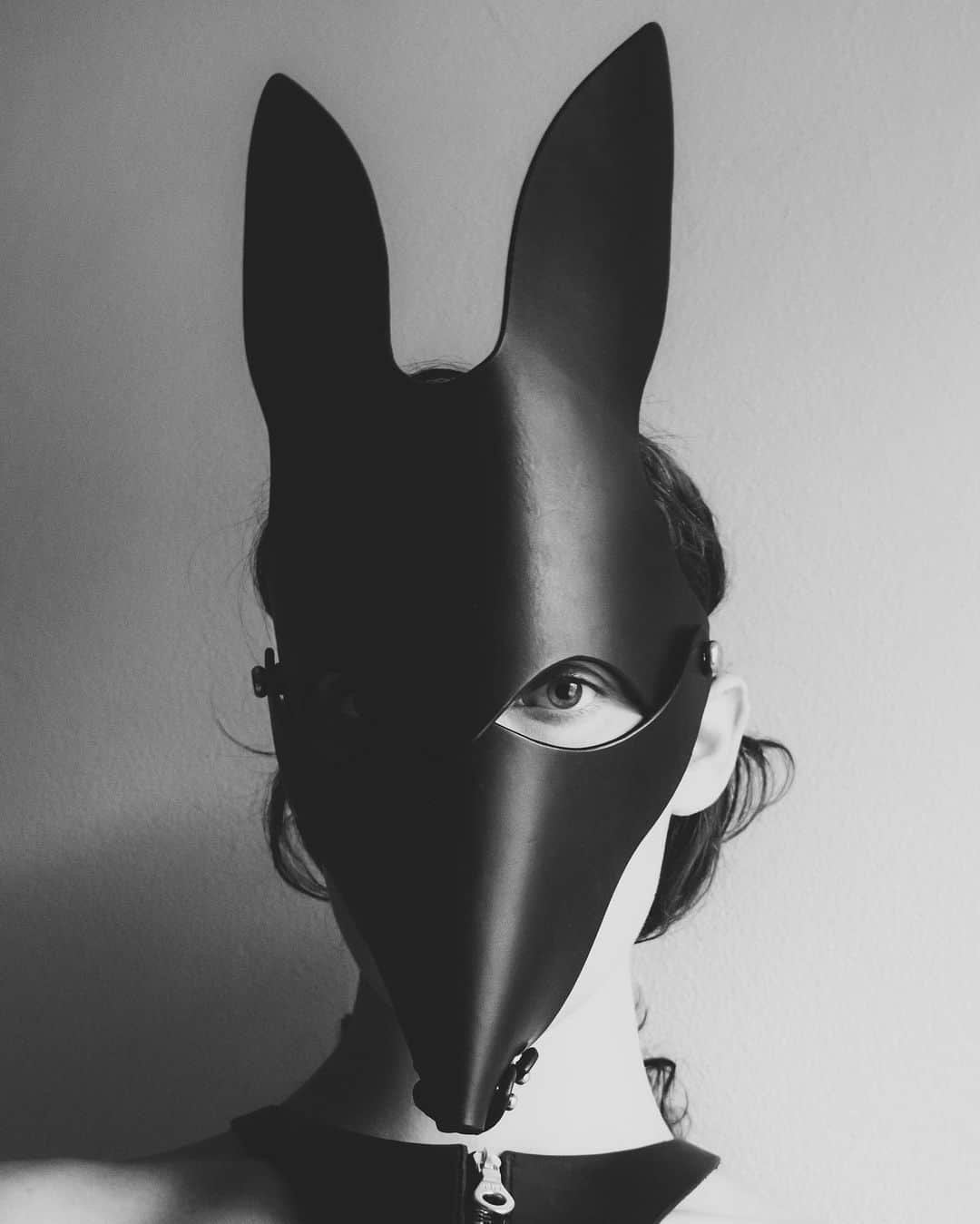 フリートイリヤさんのインスタグラム写真 - (フリートイリヤInstagram)「The Fox Mask」4月19日 18時57分 - fleetilya