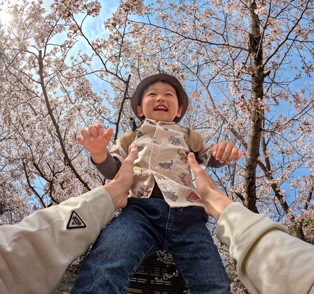 GoProさんのインスタグラム写真 - (GoProInstagram)「子供とちょっとエキサイティングな #お花見 🌸❤️ 📷 @koooooo_345  #GoProテク : バイトマウントにGoProを取り付け、タイムラプスフォトモードで撮影開始するだけでPOV写真が簡単に撮影可能。あとは @Quik アプリでお気に入りの写真を選ぶだけ！👌 ・ ・ ・ #GoPro #GoProJP #GoProのある生活 #花見 #桜 #家族 #週末 #親子写真 #親子」4月19日 19時14分 - goprojp