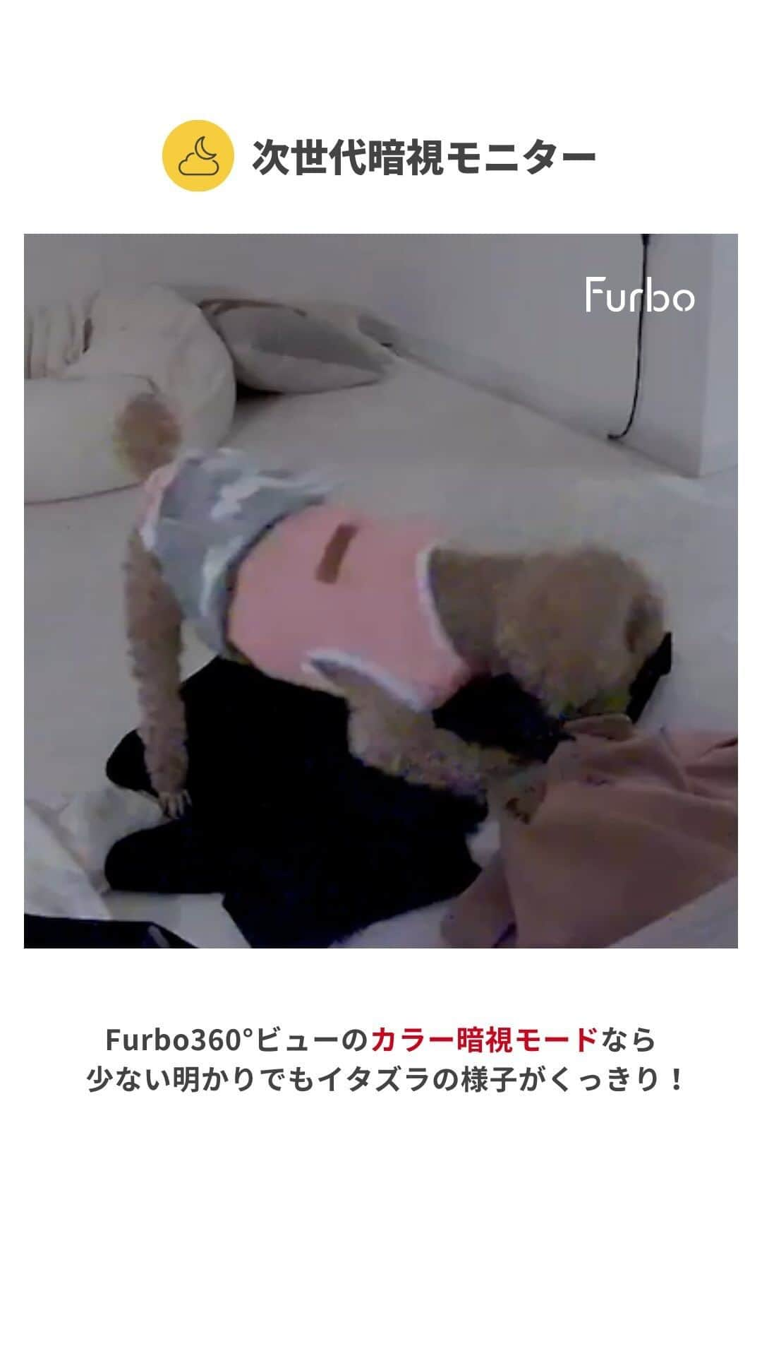 Furbo ドッグカメラのインスタグラム