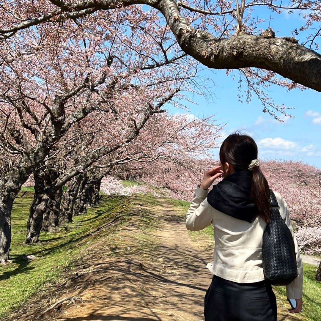 葉月里緒奈さんのインスタグラム写真 - (葉月里緒奈Instagram)「牡蠣のガンガン焼。 これが食べたかったのよー。 #女子旅#おば散歩#函館#函館グルメ#海鮮居酒屋大漁旗#牡蠣のガンガン焼#お刺身#ピリ辛ホルモン鍋 #五稜郭#五稜郭公園 #五稜郭タワー#桜はまだちょっと早かった #rionahazuki」4月19日 19時30分 - riona_hazuki