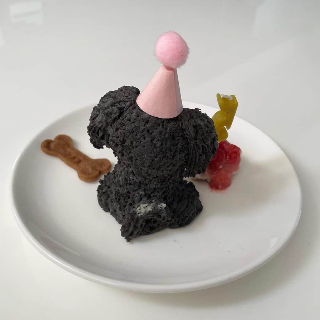 鈴木凪沙さんのインスタグラム写真 - (鈴木凪沙Instagram)「とにかくケーキが天才すぎた イヴとチェスターのお誕生日会🍰♡ 300枚ぐらい載せたい画像ある（笑）」4月19日 20時02分 - nagichan4
