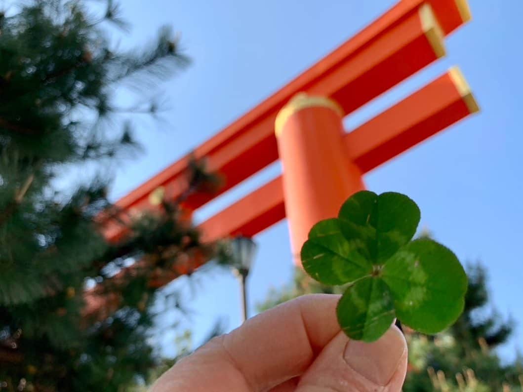 古村比呂さんのインスタグラム写真 - (古村比呂Instagram)「友から届いた四つ葉パワー  平安神宮 の大鳥居の足元で見っけ❣️  もう一人は 30分で８本も見っけ❣️  何より嬉しい^_^  powter get&share♡ みなさまと♡  友よ#ありがとう 🍀  #四つ葉 #power  #平安神宮  #friends  #古村比呂 #hirokomura」4月19日 19時57分 - hirokomura1124