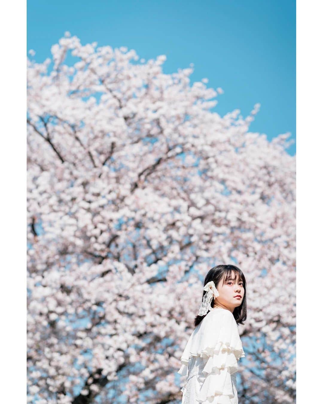 Yuma Takatsukiさんのインスタグラム写真 - (Yuma TakatsukiInstagram)「. . . sakura . . . . . . 新しいフィルムカメラがさっそく届いたから楽しみ。 春は結局フィルムであんまり撮れなかったので これからの季節をおさめていこう。 ⁡ それでは今日もお疲れさまでした！ . Tokyo／Japan LUMIX S1R／LUMIX S 50mm F1.4 LUMIX S5Ⅱ／LUMIX S 85mm F1.8 . #lumixjapan  #lumix  #lumixs5ii  . ―――――――――――――――――――――――――― 関西を中心にフリーランスで活動しています。 Web広告、個人撮影、家族撮影、PR撮影など、 4月以降の撮影依頼募集中です。 ⁡ ⁡Yuma Takatsukiオリジナルプリセットも販売中です。 ⁡プロフィールのポートフォリオサイトからご覧下さい。  またフォトサークルITTOKOという活動をしています。 ⁡ハイライトに色んなイベントをまとめています。 ――――――――――――――――――――――――――」4月19日 20時02分 - yu_umaa06