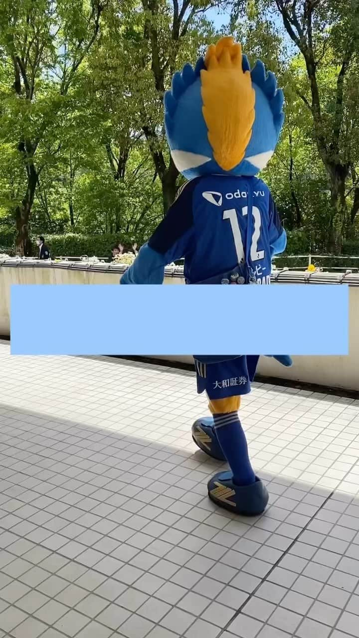 FC町田ゼルビアのインスタグラム