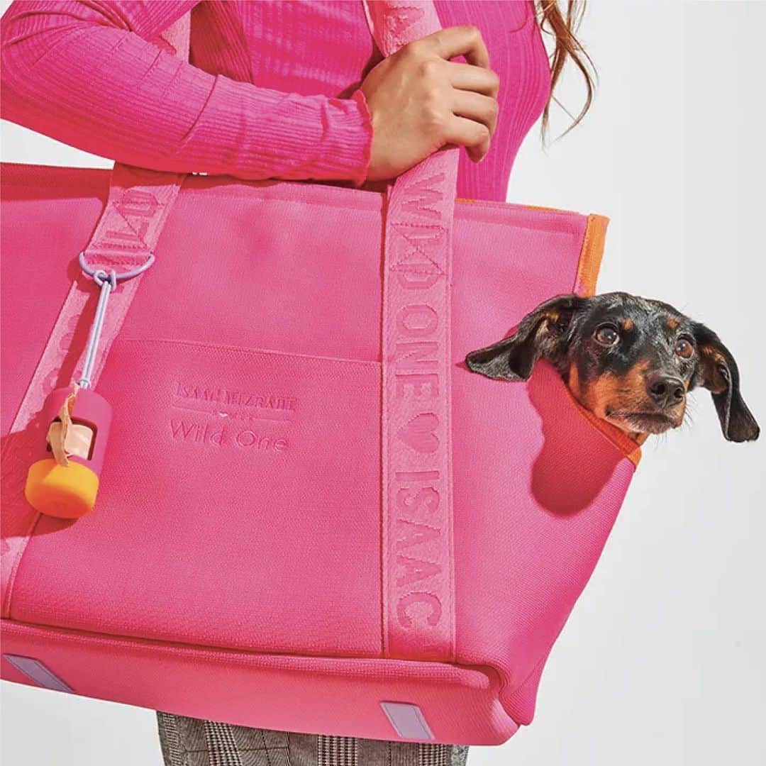 のインスタグラム：「Unleashing our wild side with the Isaac Mizrahi Loves Wild One collection! From bold prints to playful accessories, this collection brings out the fun and adventurous spirit in you and your furry friends. 🐾」