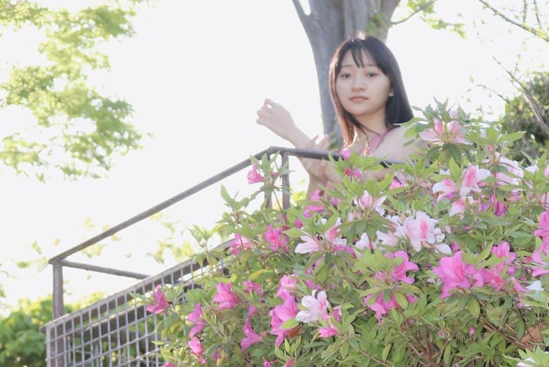 前野えまさんのインスタグラム写真 - (前野えまInstagram)「🌿🌿🌿 ・ ・ #goodmorning  #natural  #naturephotography  #girlportrait #actress #actor #girl #photography #portrait #japanesegirl #portraitphotography #daily_phot_jpn #japan_daytime_view」4月20日 6時46分 - maeno_ema