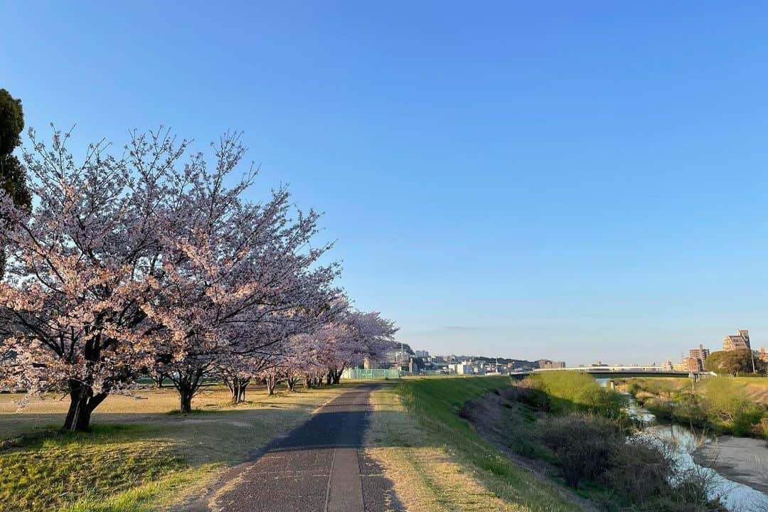 大田昭子さんのインスタグラム写真 - (大田昭子Instagram)「. 気付けば4月もあと少しで終わる〜  出来る事からコツコツと頑張りますか😎  やる気スイッチそろそろ入れないとな〜  #1枚目#許可なく載せた#怒らないでね #桜🌸#綺麗やったー #しょこ#シャボン玉#攻撃#されてた #ごみゼロ#クリーンキャンペーン」4月19日 22時16分 - akko915