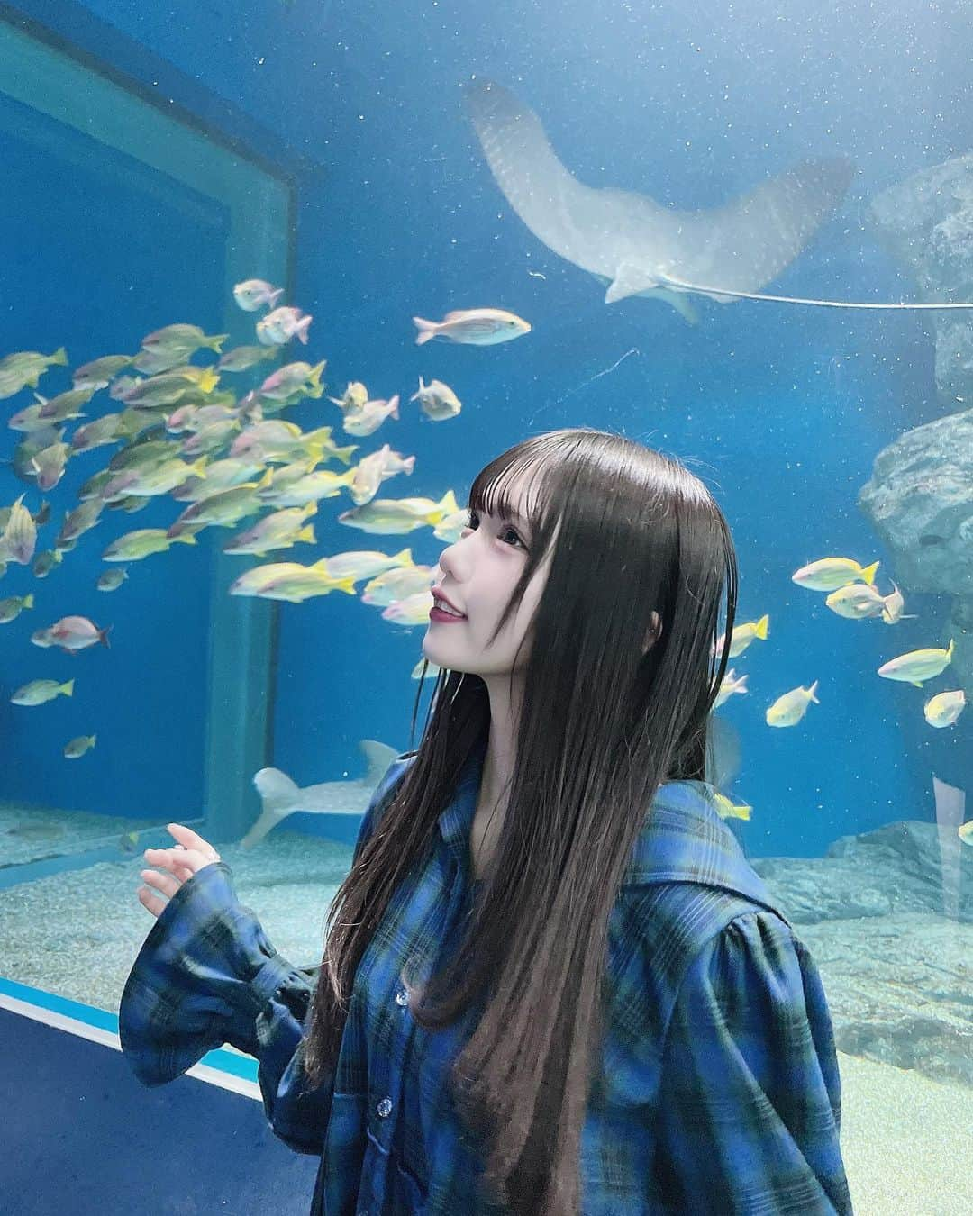 津代美月のインスタグラム：「. この日は水族館でポップコーンとホットドックとチーズボール食べました その後に焼き鳥屋さんでたらふく食べました反省は口だけしてます ( ᴖ ·̫ ᴖ )💞  #品川アクアパーク  #水族館」