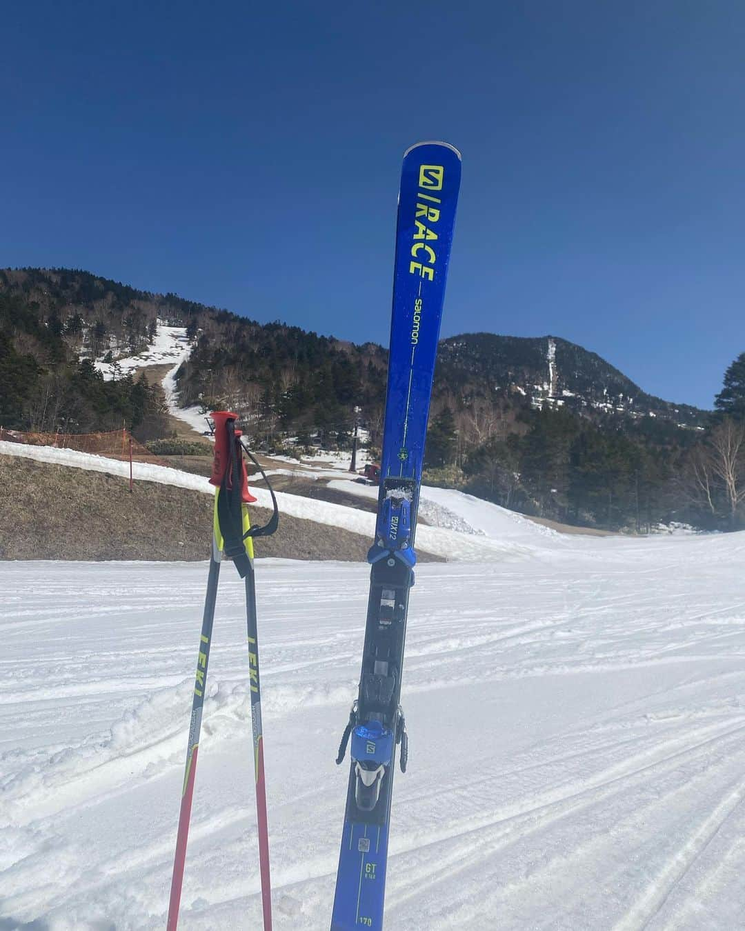 髙津奈々さんのインスタグラム写真 - (髙津奈々Instagram)「🏔 １週間前に行った24時間志賀高原ひとり旅備忘録  都内23時出発🌙 往復8時間運転🚙 スキー朝6時から5時間⛷ @crumpet_cafe2307 でおやつ💛 昼寝💤 帰宅🗼  普通に過酷すぎたけど、 雪が無くなる前にスキーに行きたい気持ちを抱えたまま 本業のフィンスイミング日本選手権に突入できると思えず、 冷えると予報のあった日に思い切ってドライブ❄️  硬いバーンを滑れて幸せだった！ 心置きなく泳げるぞ💙💦🐬 (普通に言っていること意味わからないけど私なりの幸せ)  #私のルーティン   私にとっていい筋肉に刺激が入るから スキーはトレーニング&調整の一環  メンタル面でも、筋肉面でも レースに向けて良いテーパースタート▶️  自然に勝るリフレッシュ方法はないなあ💭💭  たまにはひとり旅も楽しいね 雪と桜、冬と春を堪能した1日でした  これにて22-23シーズン終了(予定) (昨日かなり雪降ってるみたい…☃️)  🌸❄️🌸❄️🌸❄️  #自然が好き #ドライブ #志賀高原 #日帰り #スキー #統一感のないナナライフ  #スキー女子 #フィンスイミング #日本代表 #アクティブガール #patagonia #パタゴニア #アスリート女子」4月19日 22時55分 - nanatakatsu