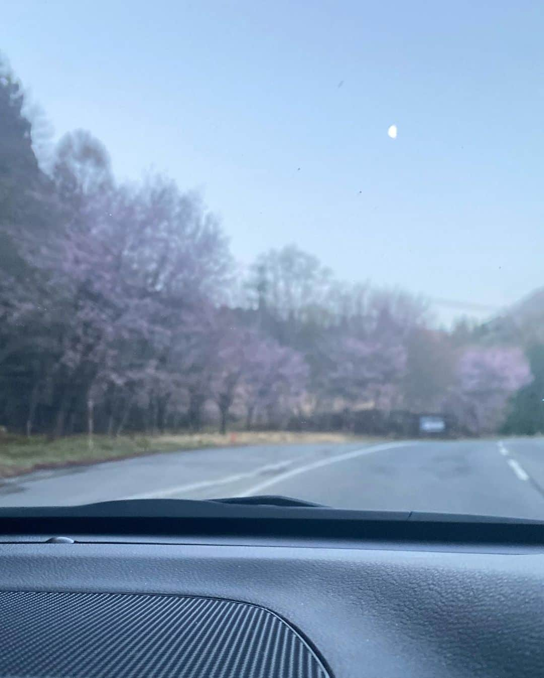 髙津奈々さんのインスタグラム写真 - (髙津奈々Instagram)「🏔 １週間前に行った24時間志賀高原ひとり旅備忘録  都内23時出発🌙 往復8時間運転🚙 スキー朝6時から5時間⛷ @crumpet_cafe2307 でおやつ💛 昼寝💤 帰宅🗼  普通に過酷すぎたけど、 雪が無くなる前にスキーに行きたい気持ちを抱えたまま 本業のフィンスイミング日本選手権に突入できると思えず、 冷えると予報のあった日に思い切ってドライブ❄️  硬いバーンを滑れて幸せだった！ 心置きなく泳げるぞ💙💦🐬 (普通に言っていること意味わからないけど私なりの幸せ)  #私のルーティン   私にとっていい筋肉に刺激が入るから スキーはトレーニング&調整の一環  メンタル面でも、筋肉面でも レースに向けて良いテーパースタート▶️  自然に勝るリフレッシュ方法はないなあ💭💭  たまにはひとり旅も楽しいね 雪と桜、冬と春を堪能した1日でした  これにて22-23シーズン終了(予定) (昨日かなり雪降ってるみたい…☃️)  🌸❄️🌸❄️🌸❄️  #自然が好き #ドライブ #志賀高原 #日帰り #スキー #統一感のないナナライフ  #スキー女子 #フィンスイミング #日本代表 #アクティブガール #patagonia #パタゴニア #アスリート女子」4月19日 22時55分 - nanatakatsu